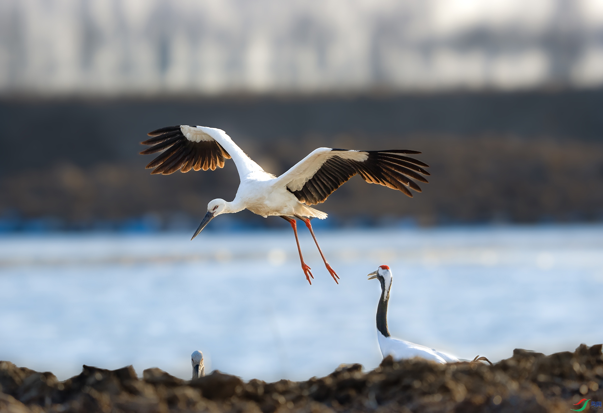 DSC00256 ���� 2.jpg