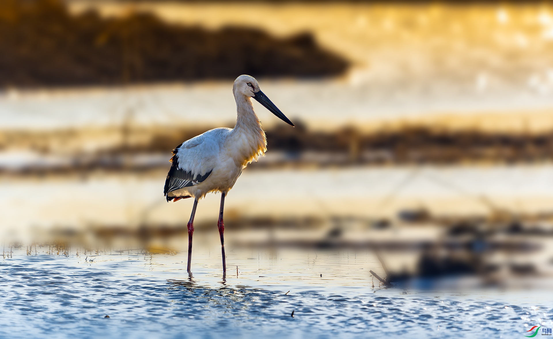 20240129-DSC00671 ����.jpg