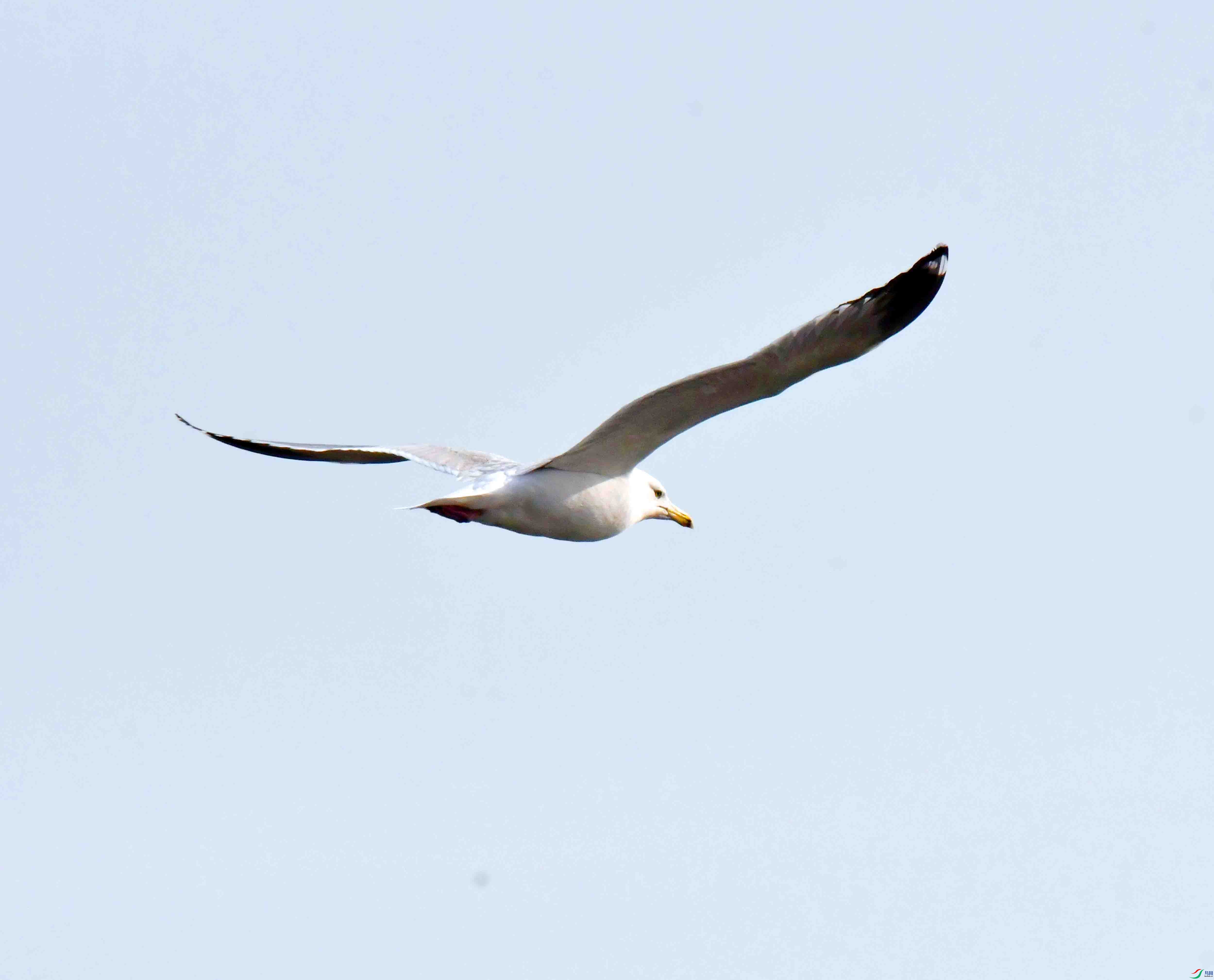 DSC_9085.JPG