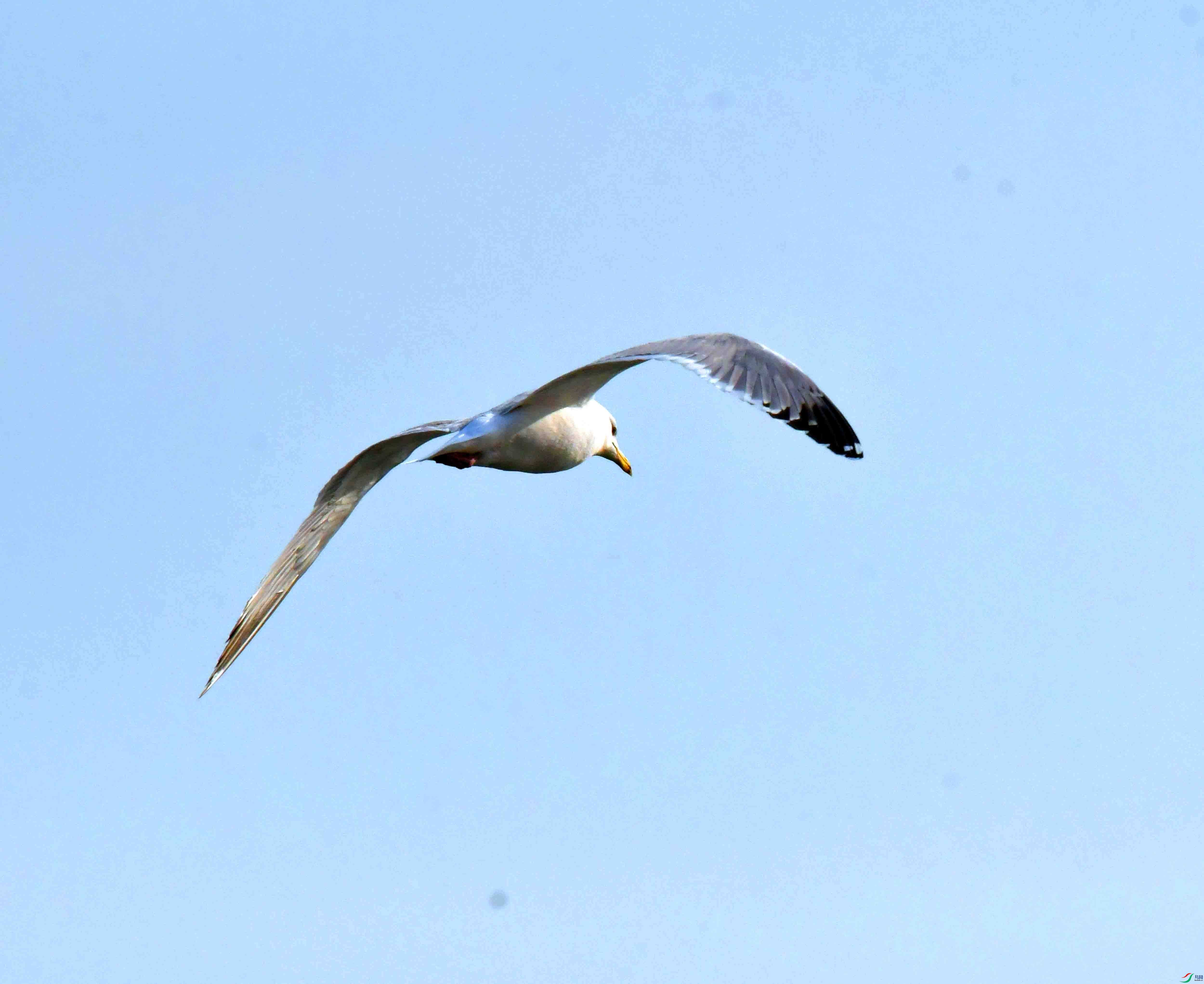 DSC_9087.JPG