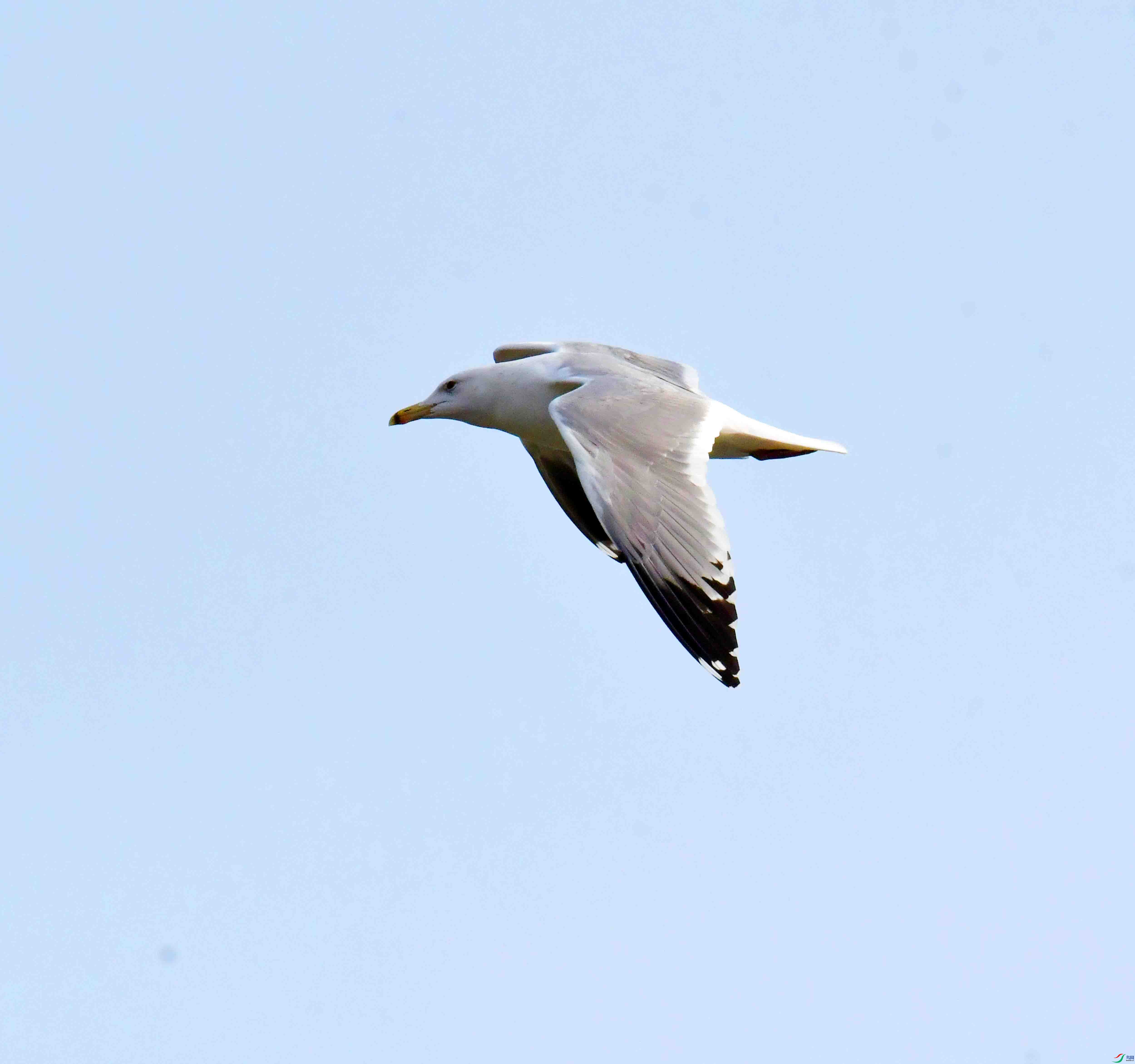 DSC_9096.JPG