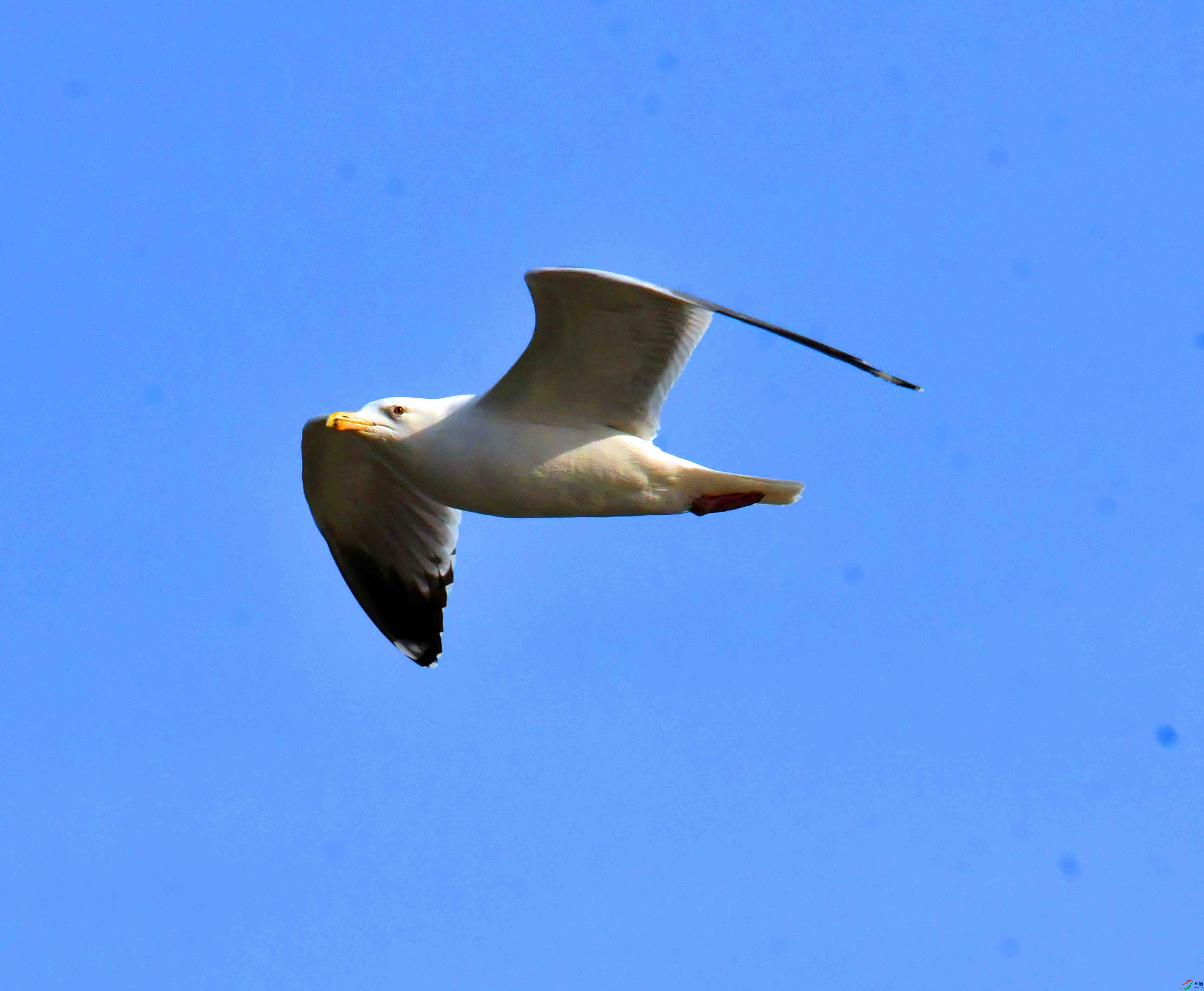DSC_9102.JPG