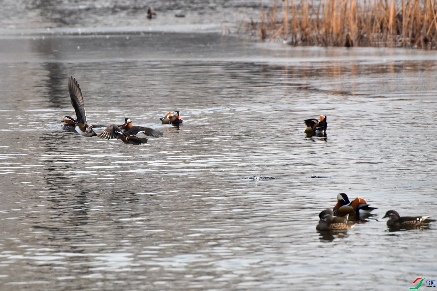 DSC_7240.JPG