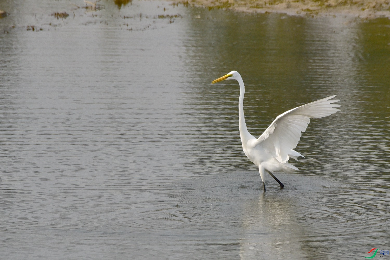 DSC_4187.JPG