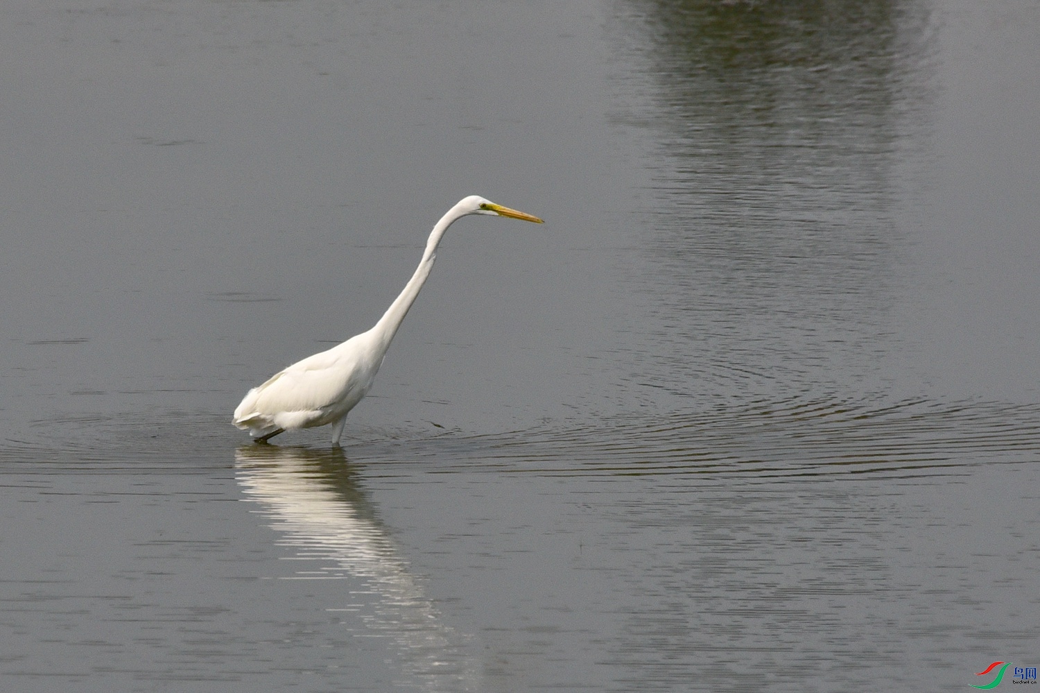 DSC_4167.JPG