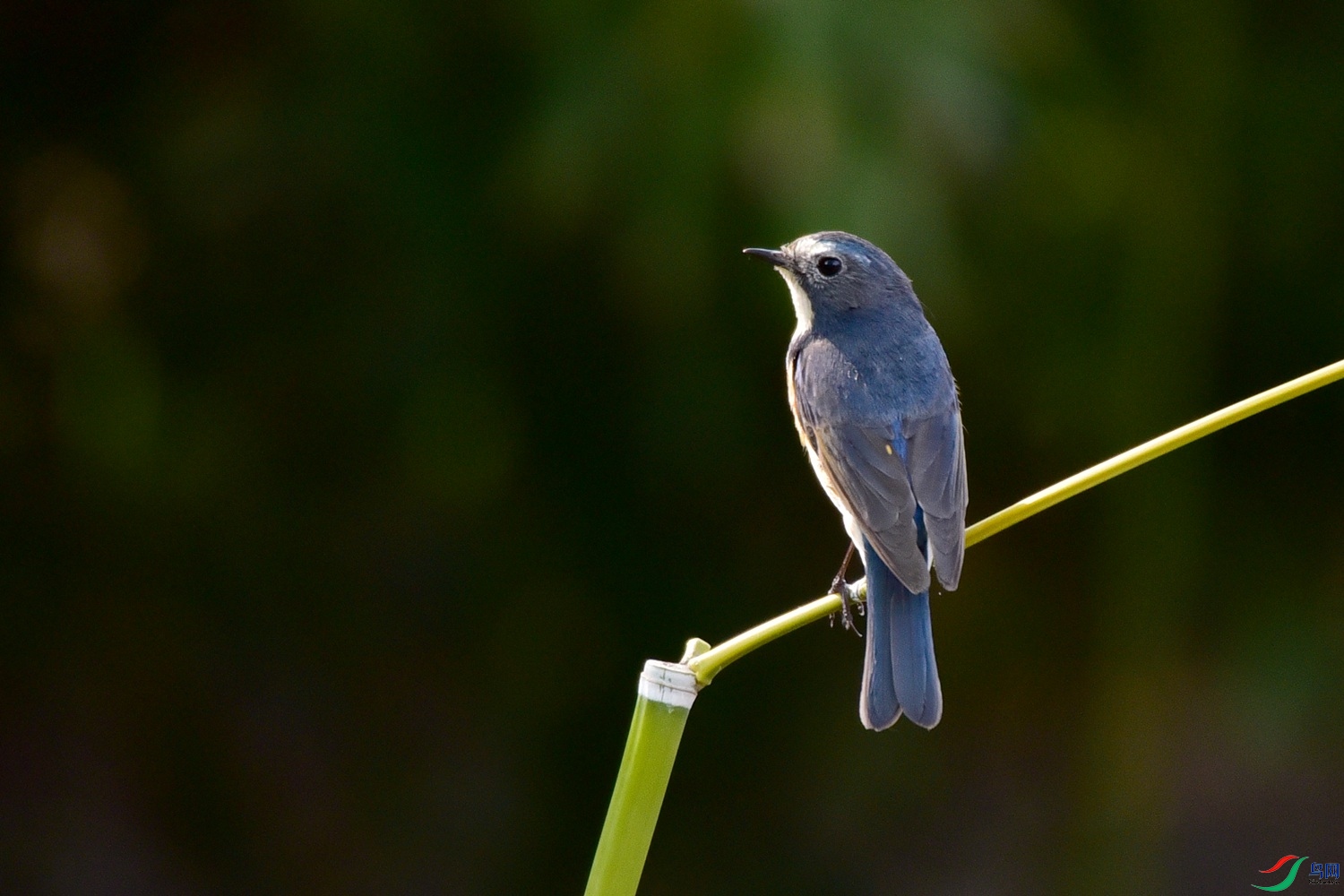 DSC_8027.JPG