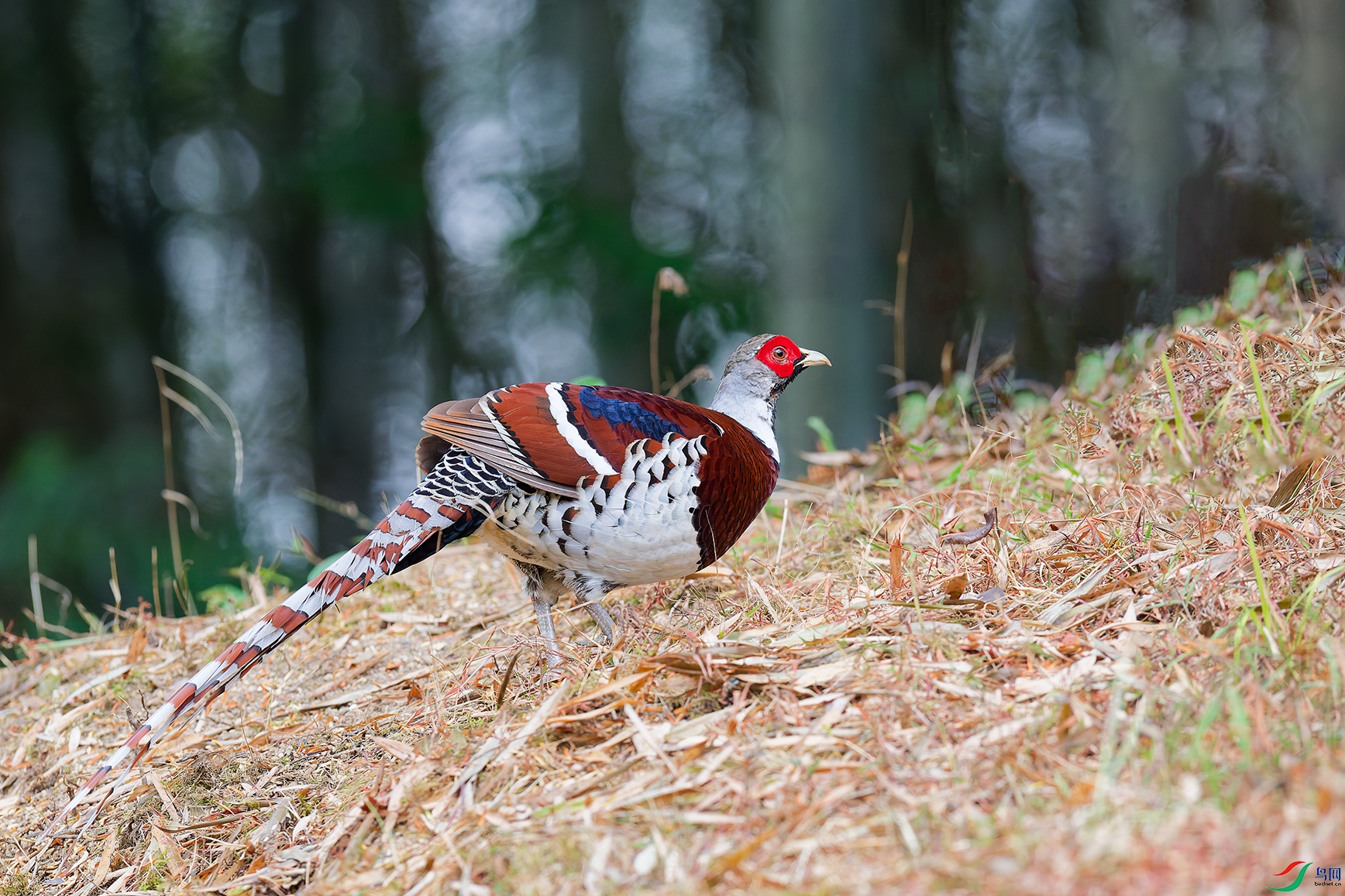 DSC_9655_DxO_DxOa.jpg