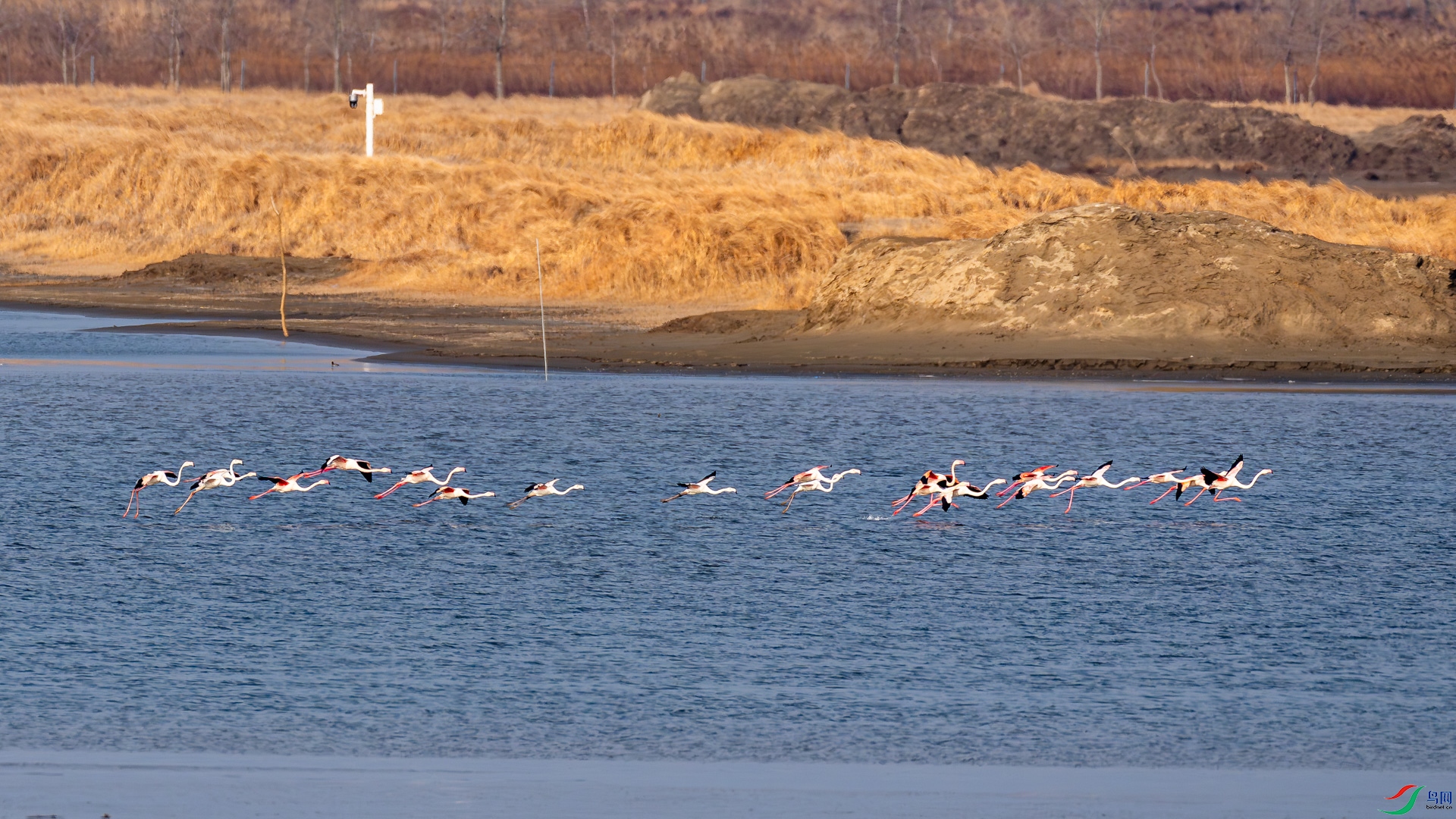_DSC0135.jpg