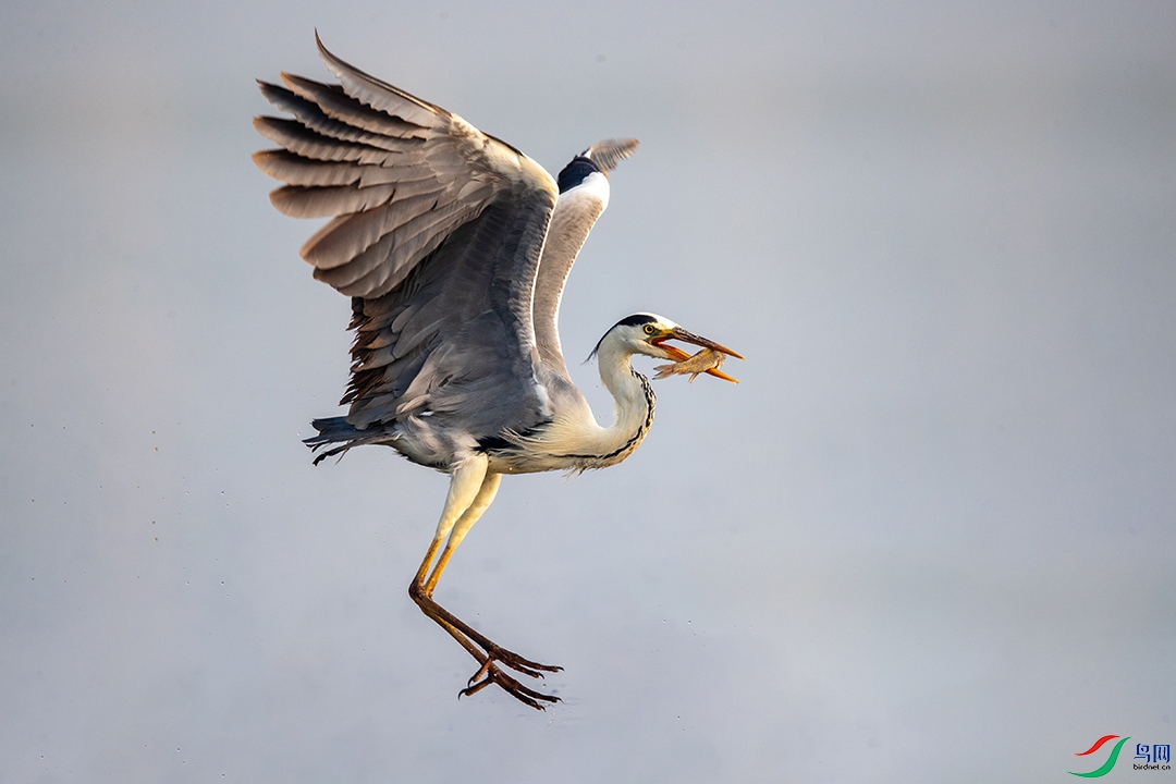 BN5I5018 ���� 2.jpg