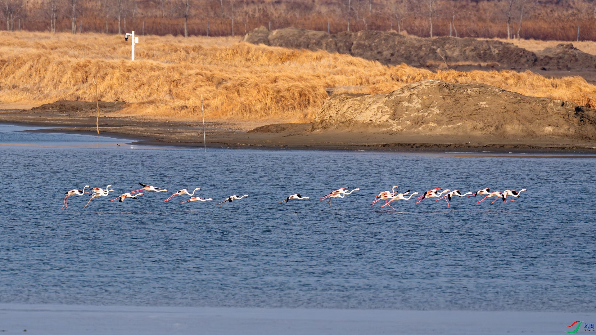 _DSC0137.jpg