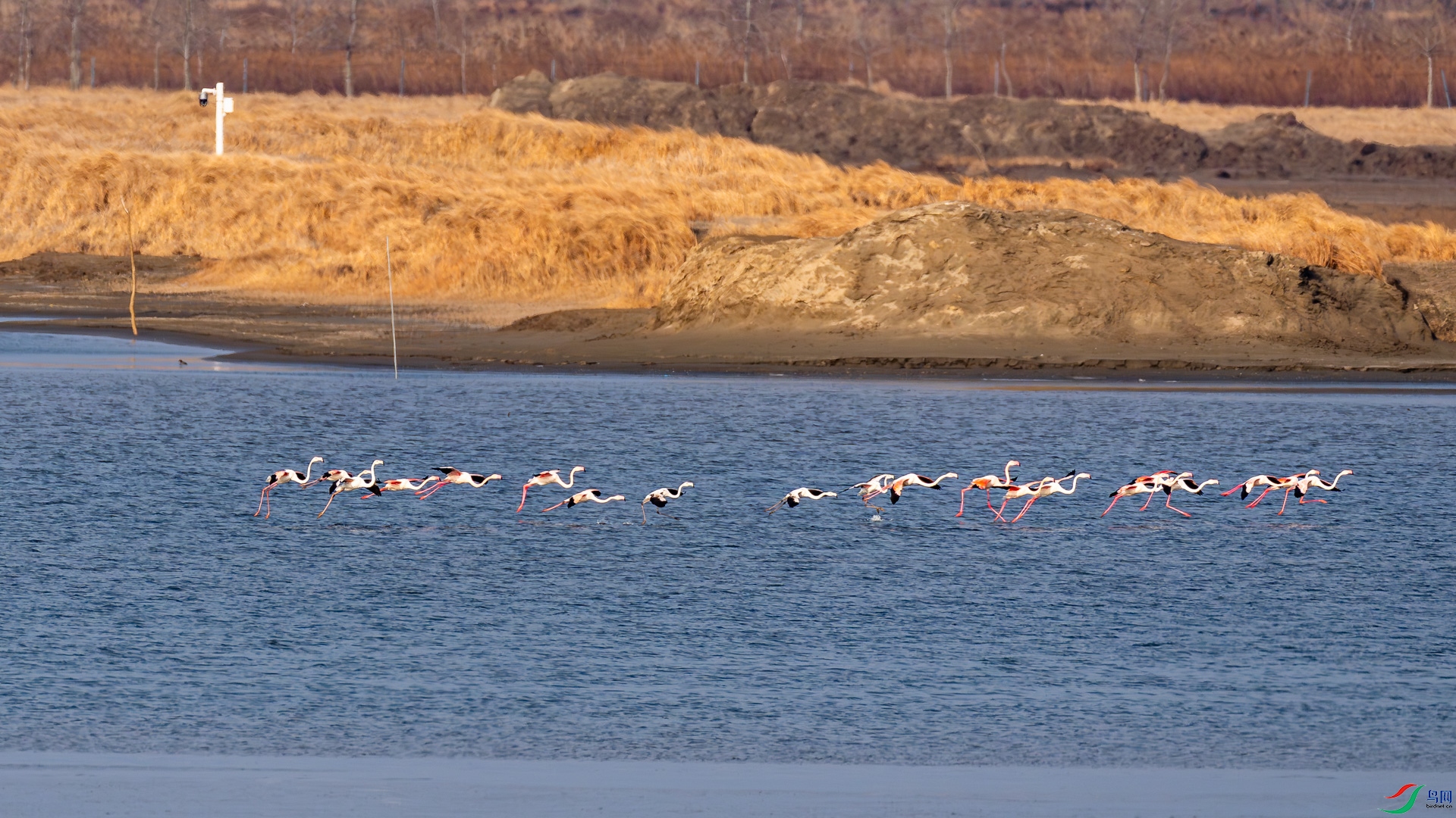 _DSC0143.jpg