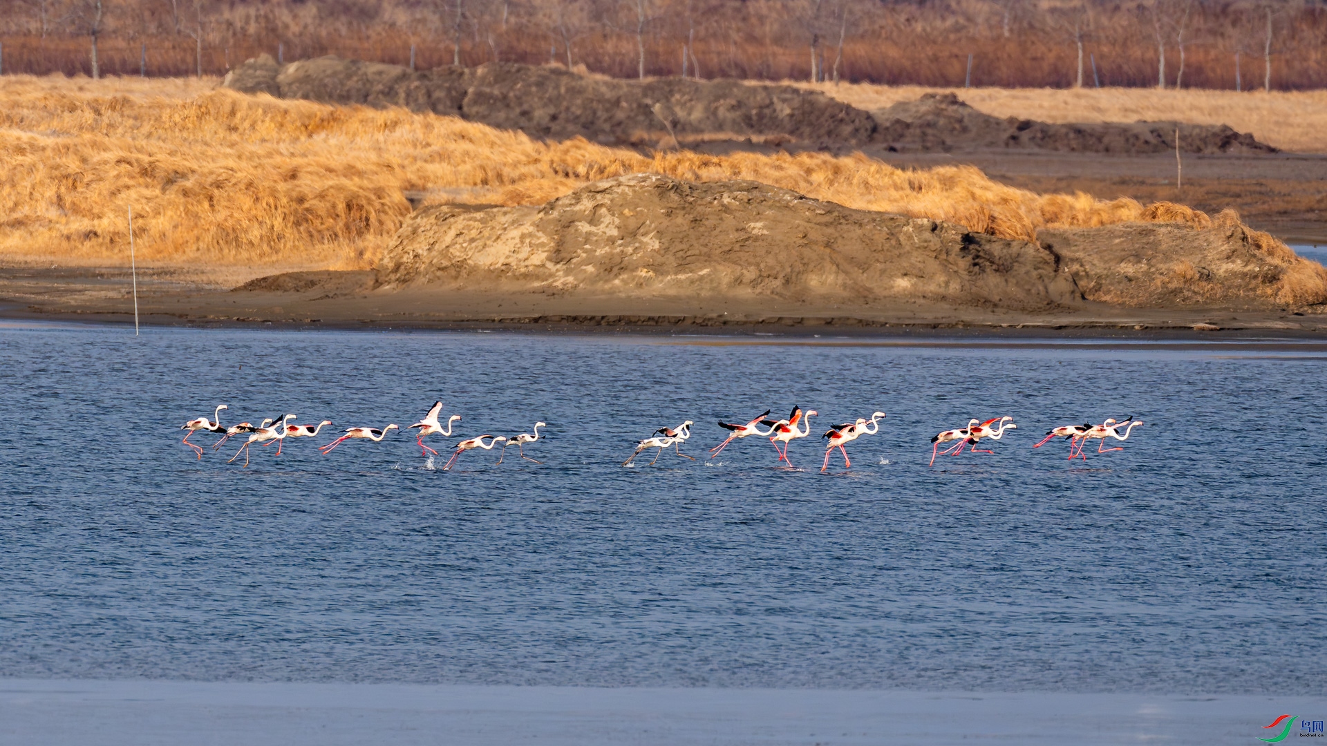 _DSC0146.jpg