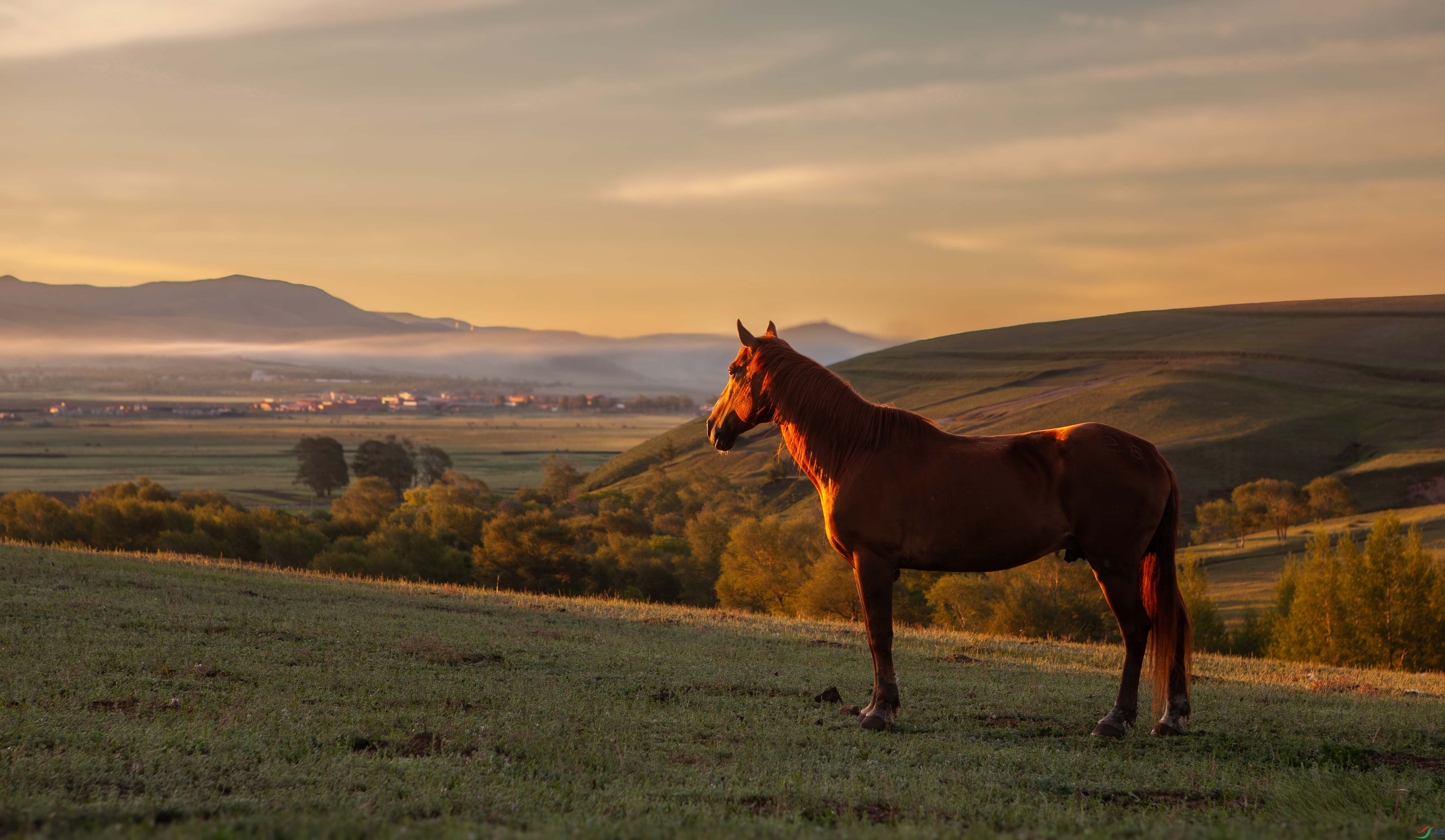 IMG_7818-2 ���� 2.jpg