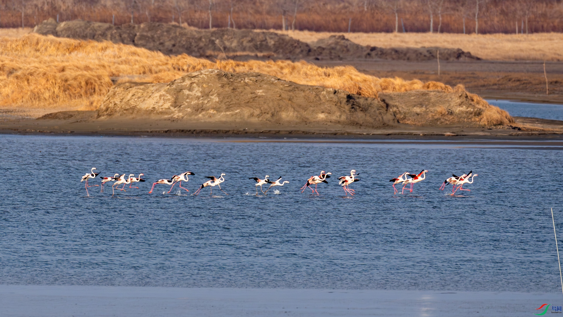 _DSC0152.jpg