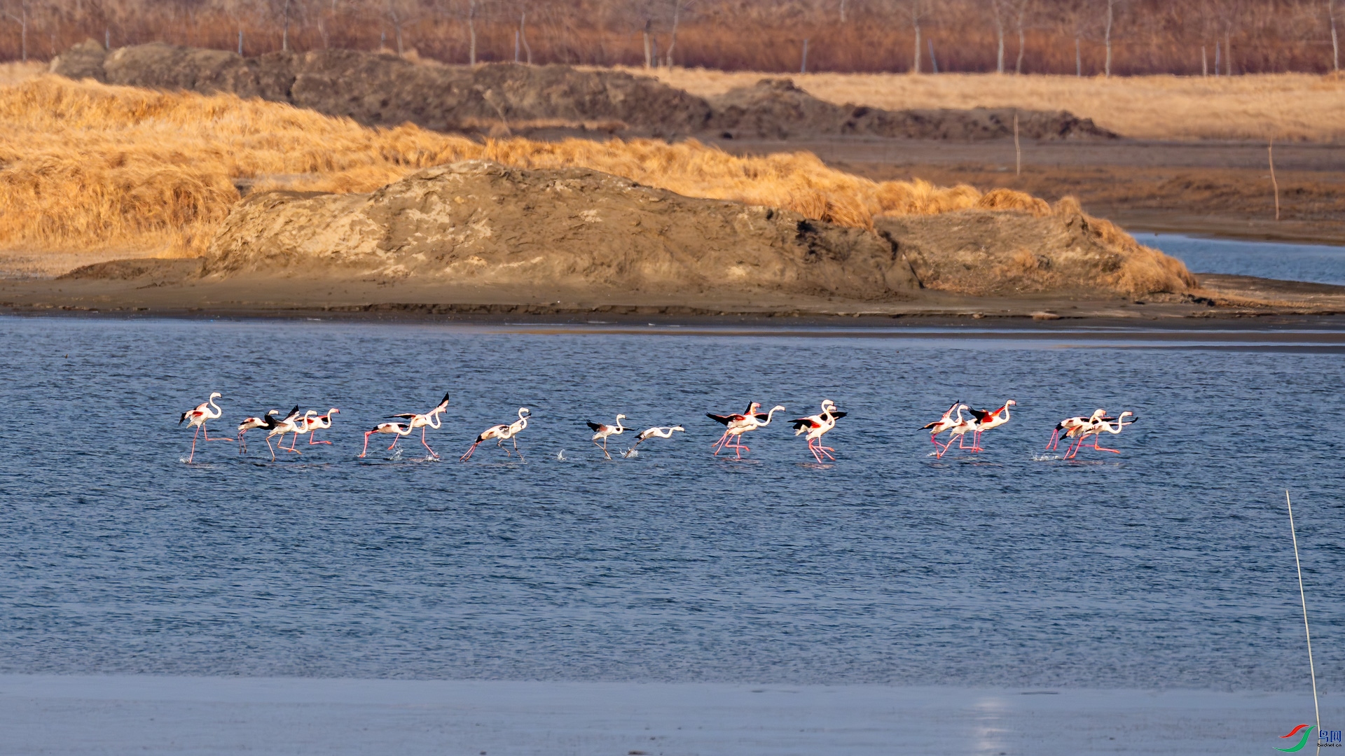 _DSC0153.jpg