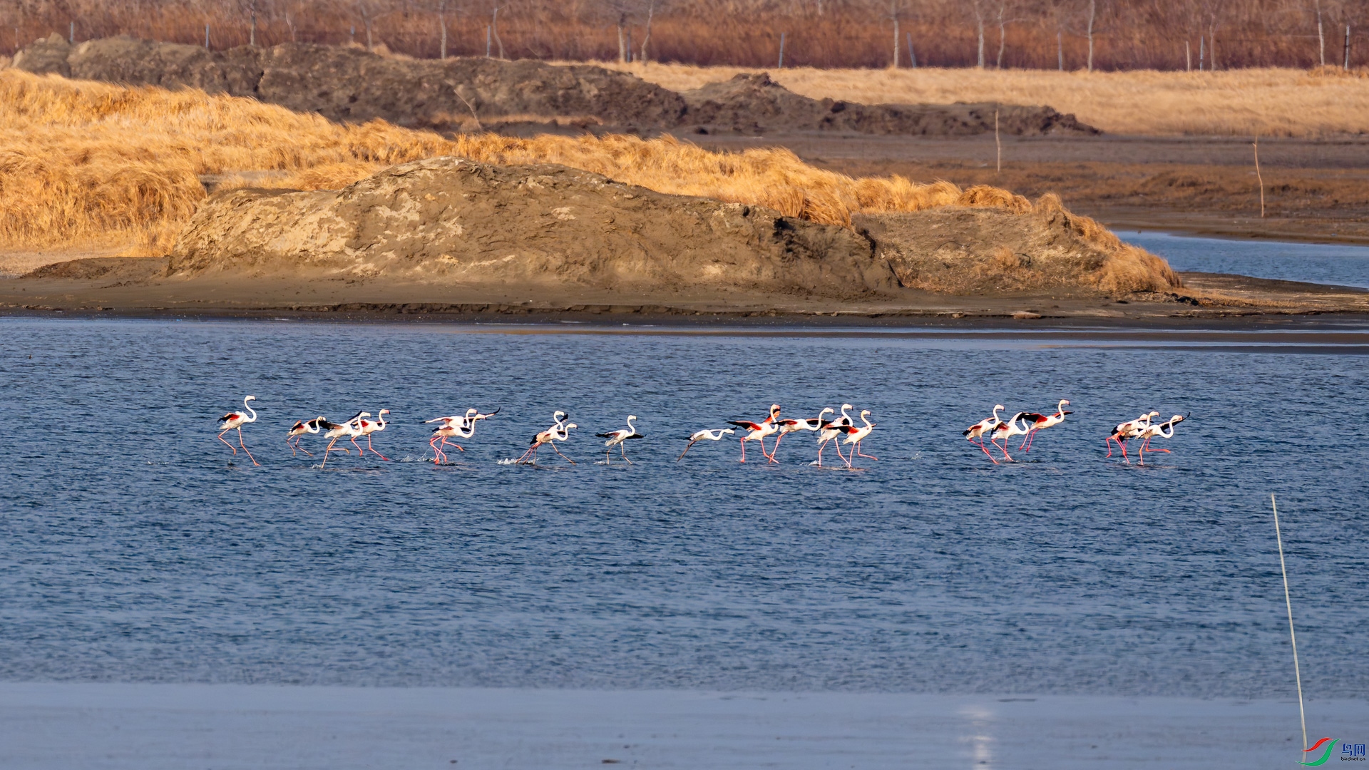 _DSC0156.jpg
