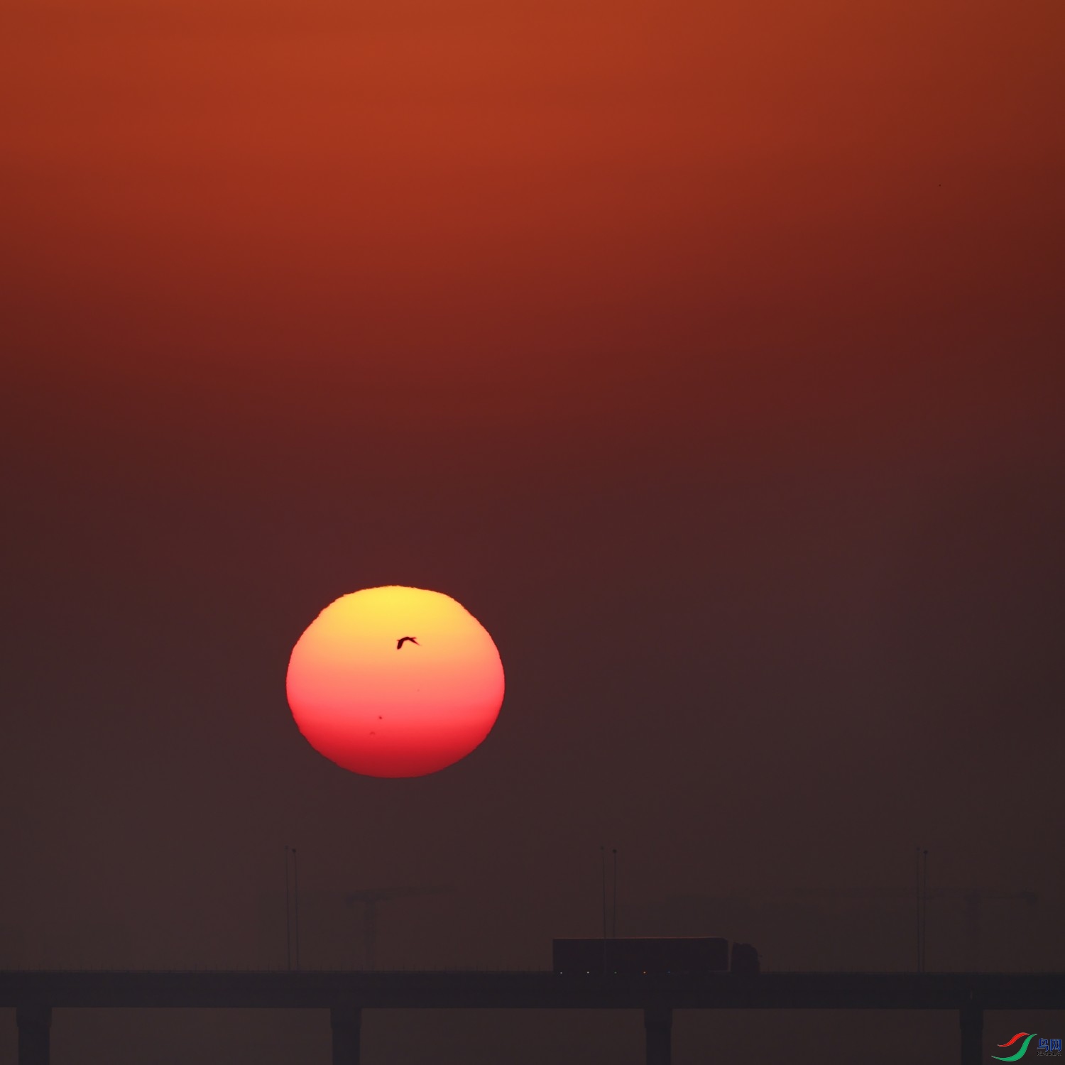 DSCF8852.jpg