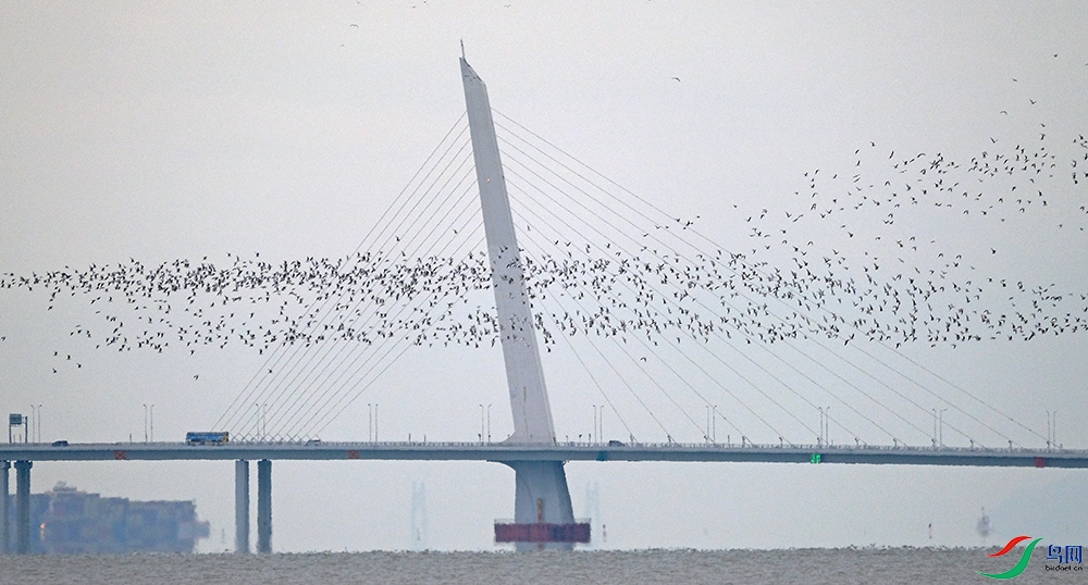 DSCF6268.1.jpg