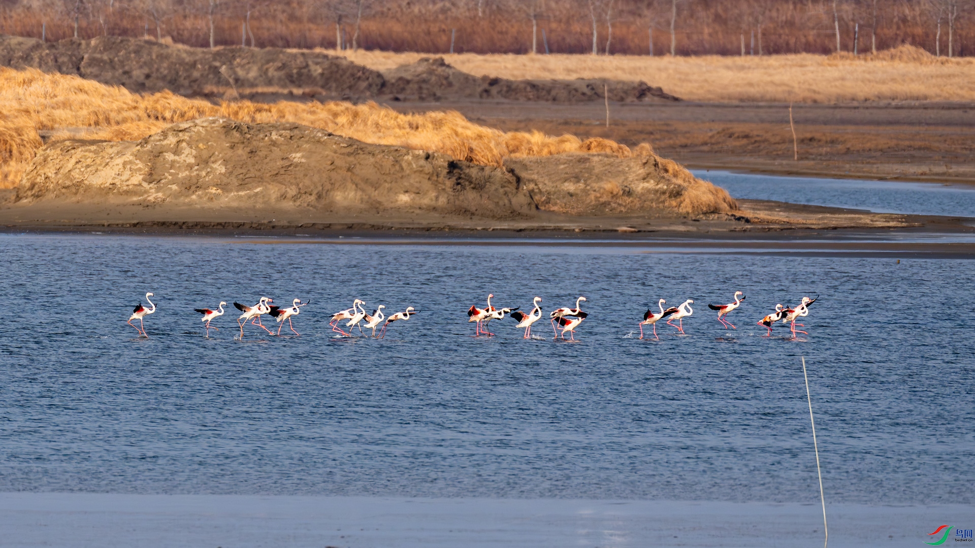 _DSC0160.jpg