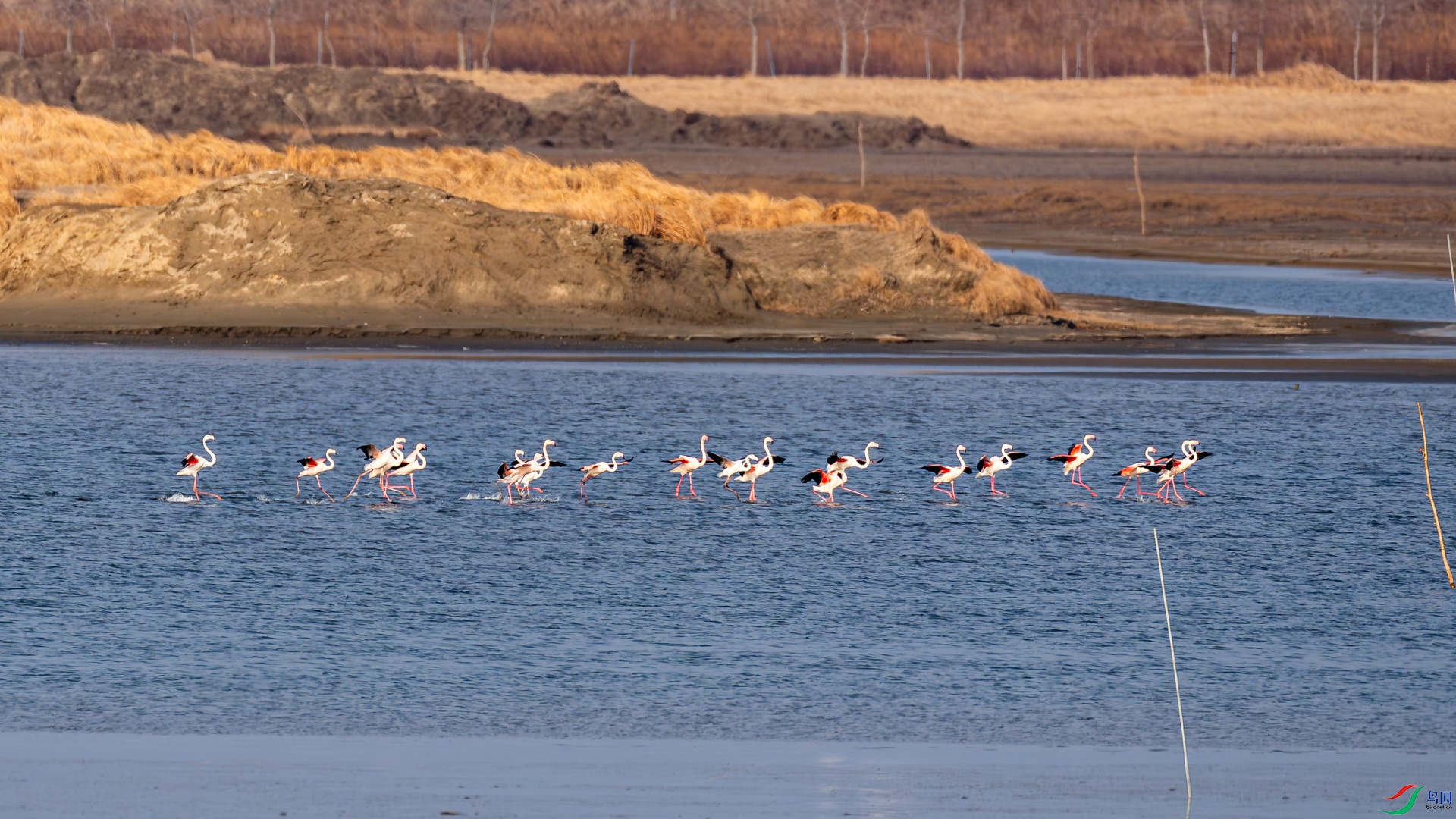 _DSC0162.jpg