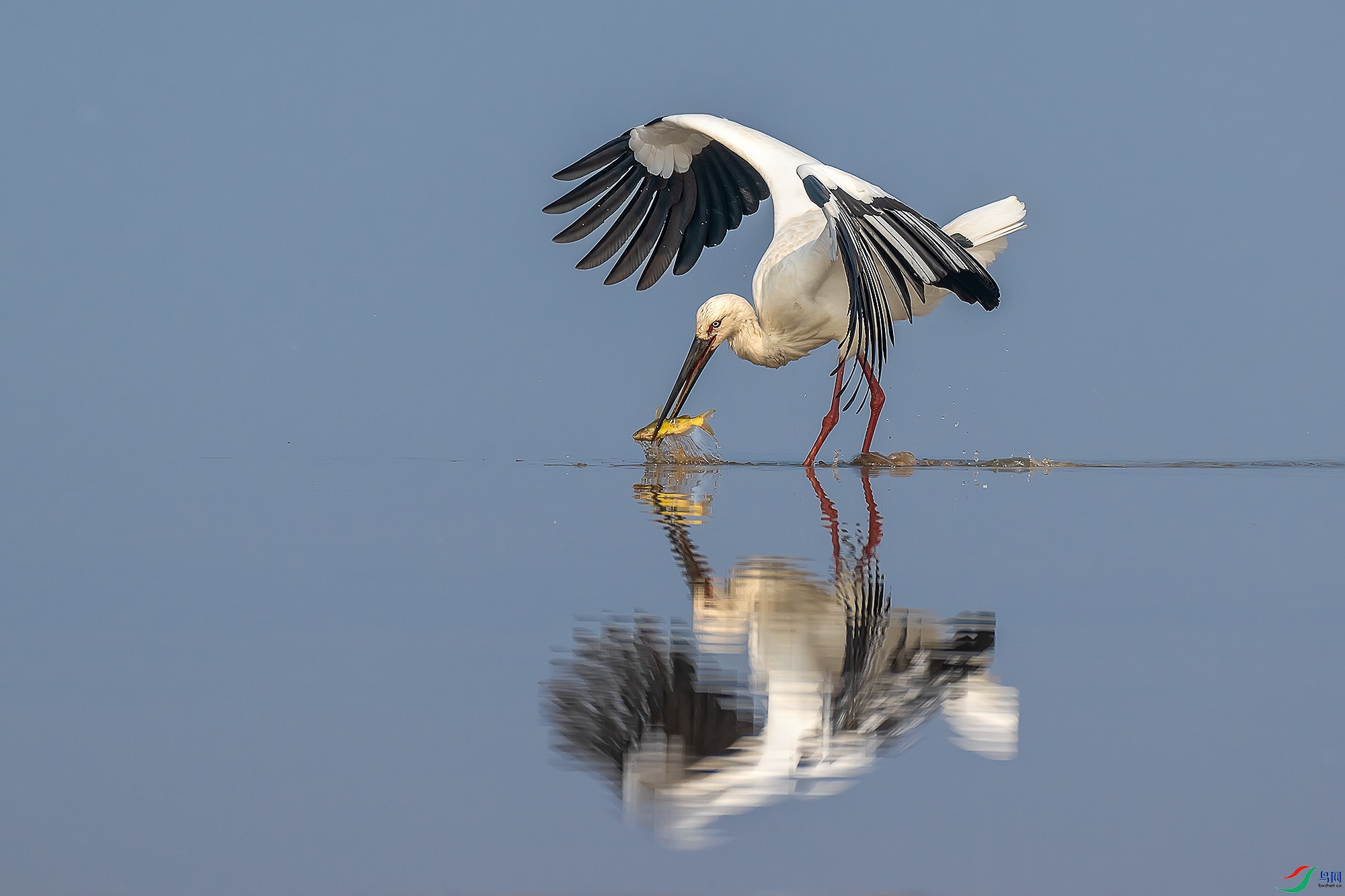 DSC_0465-1 ����aaaa.jpg