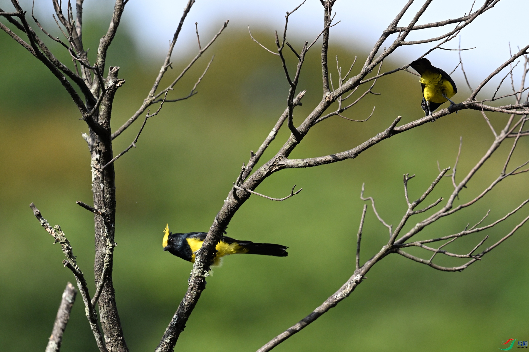 DSC_2192.JPG