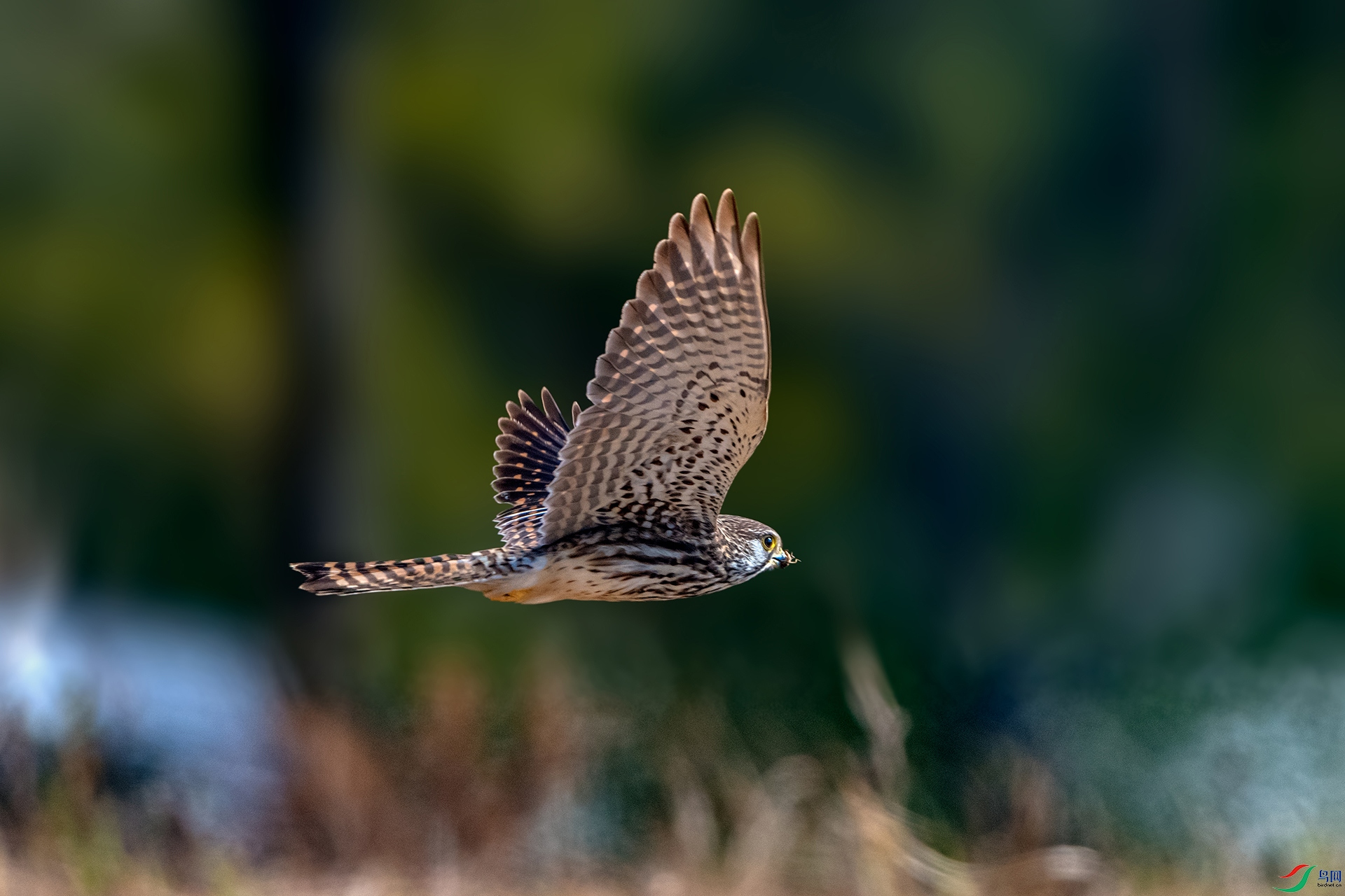 _AUU6702 ����(26.2.1).jpg
