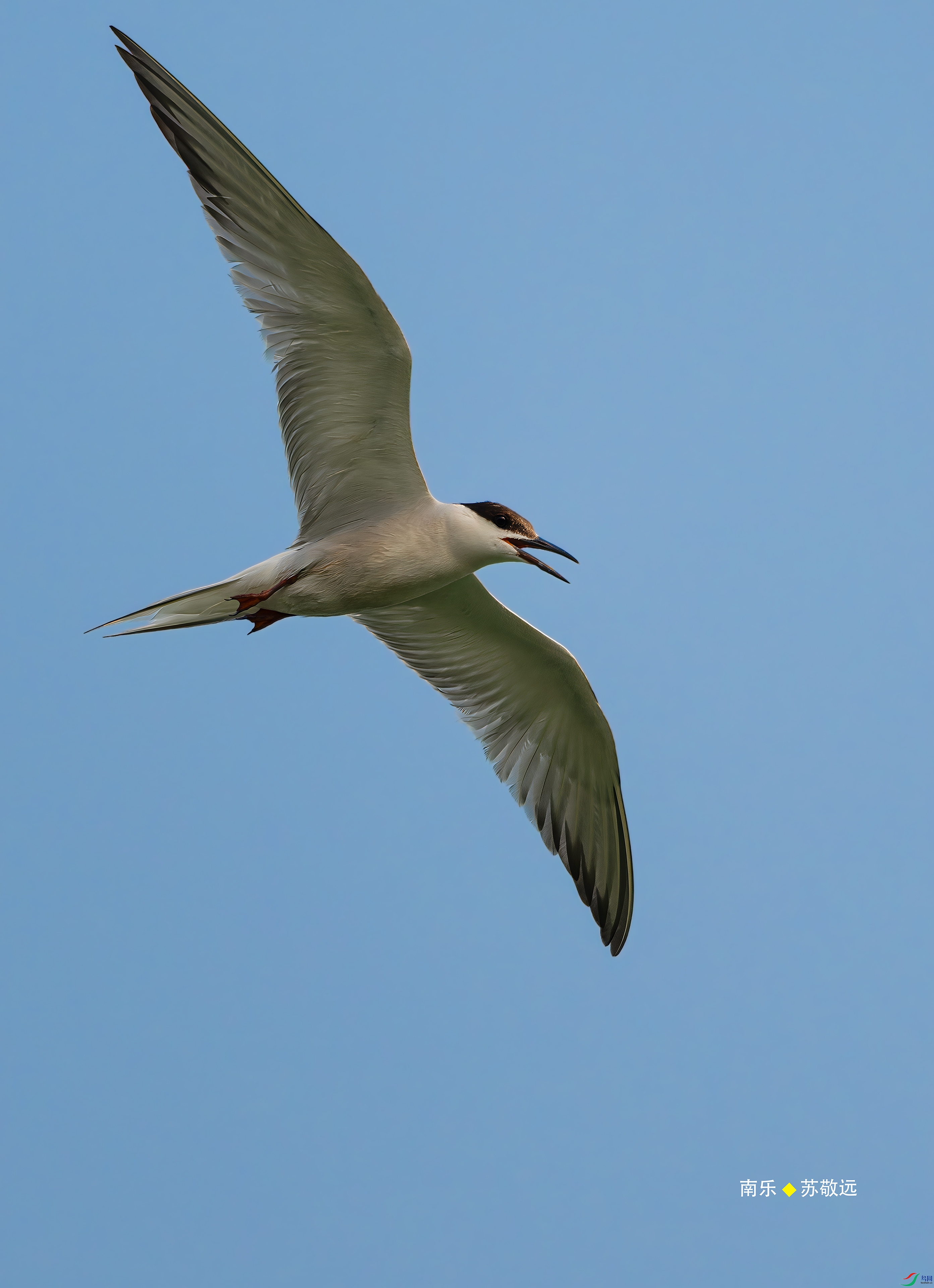 _DSC3261-DxO_С.jpg