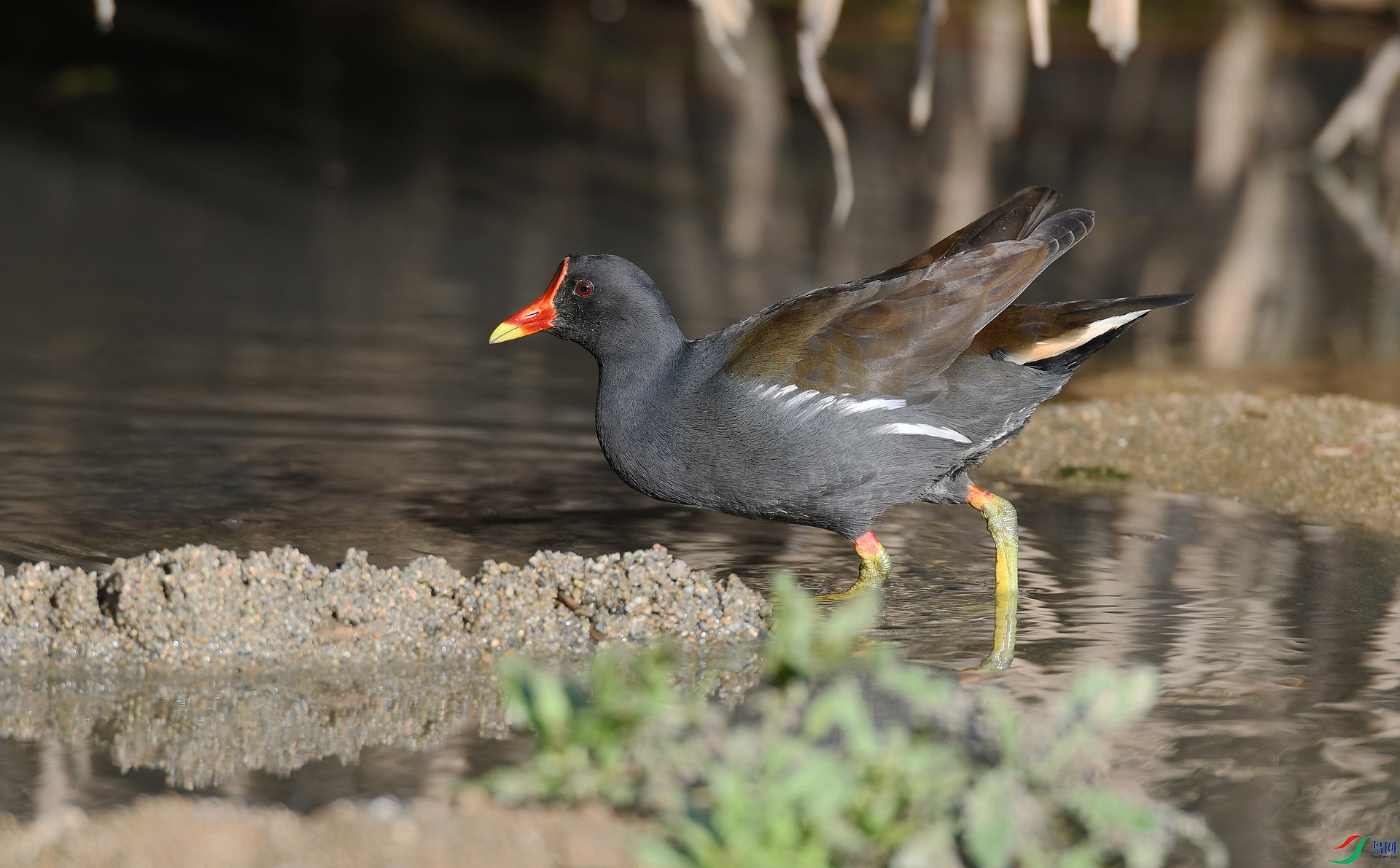 DSC_5057.jpg