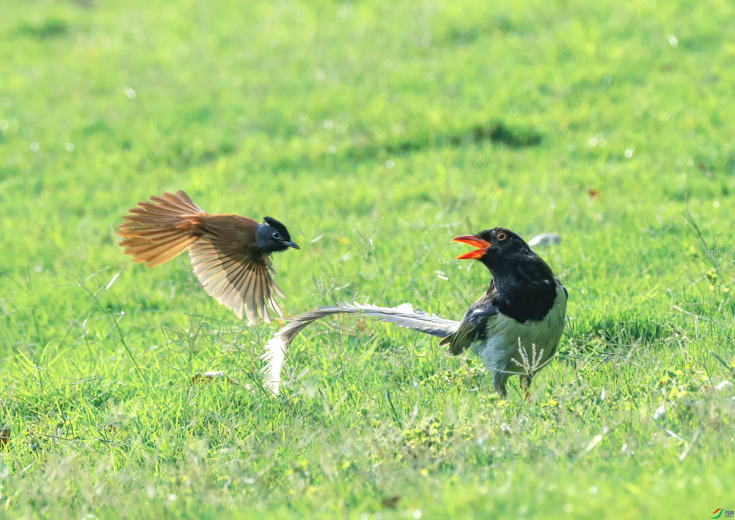 5N9A2741 ���� 4.jpg