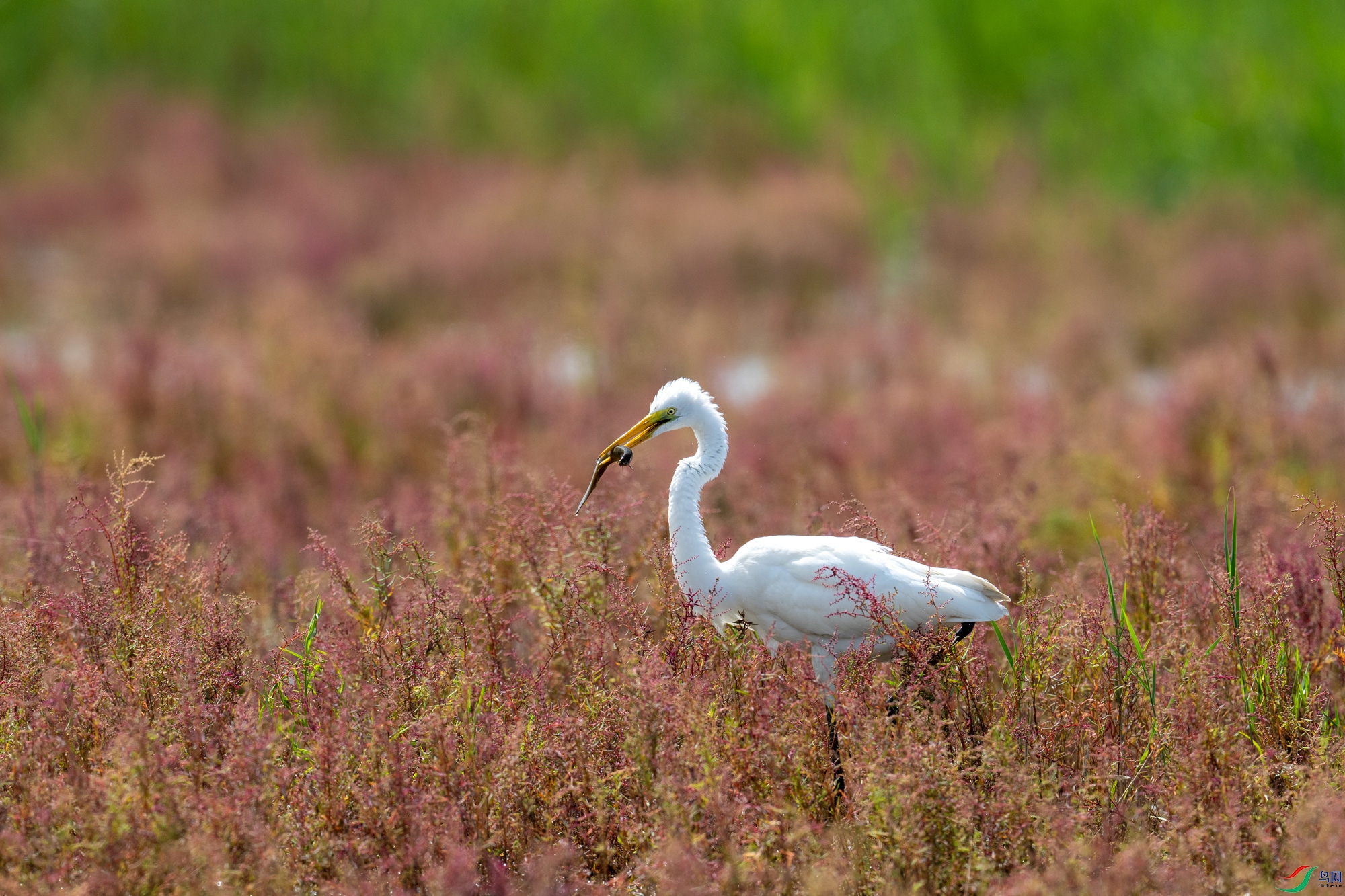 DSC_6875.jpg