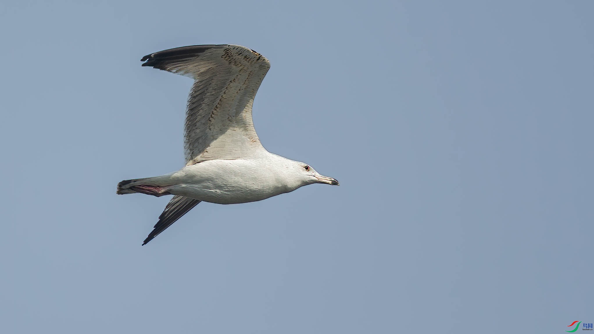 AQ4P7661-1.jpg