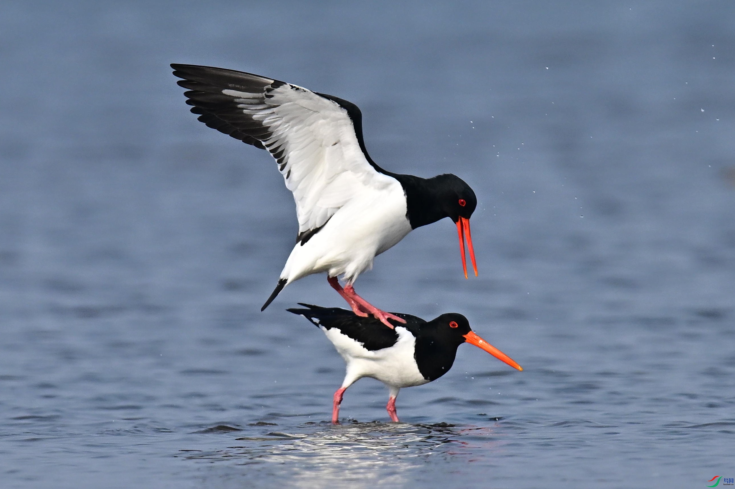 ���� (5).jpg