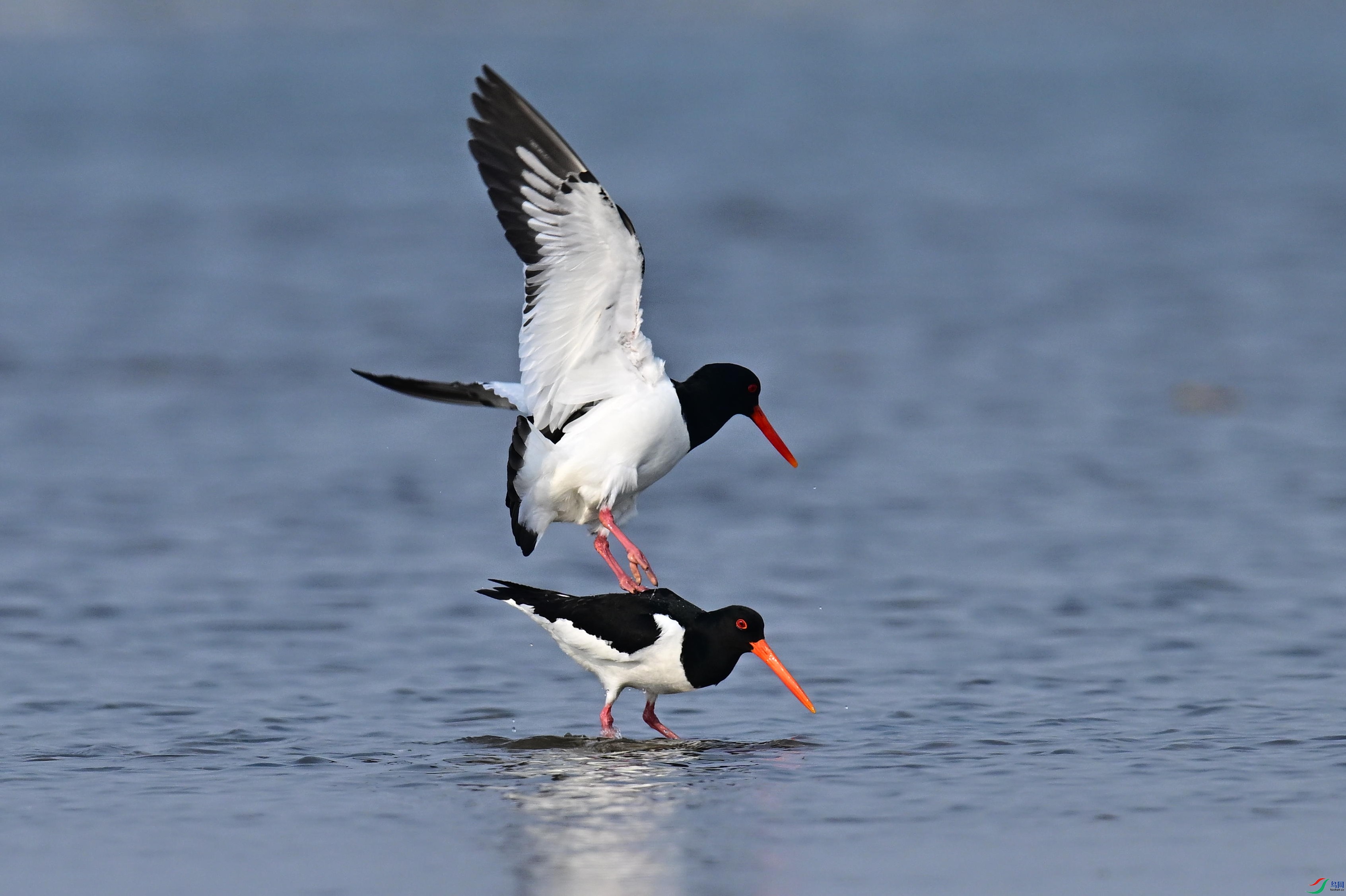 ���� (14).jpg