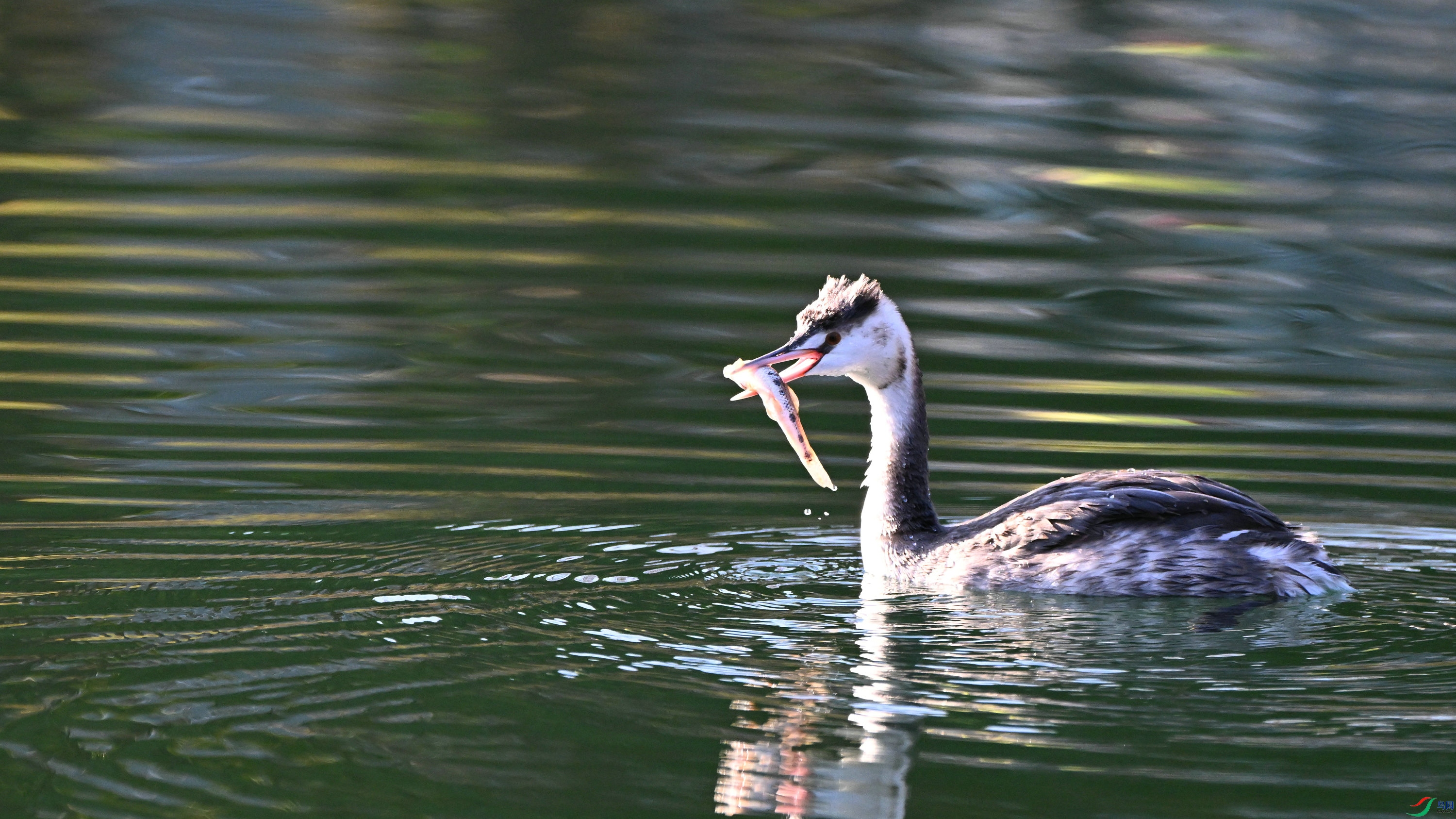 DSC_0369.JPG