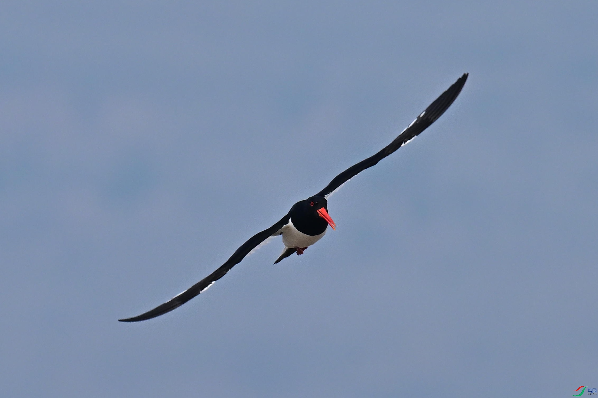 ���� (26).jpg