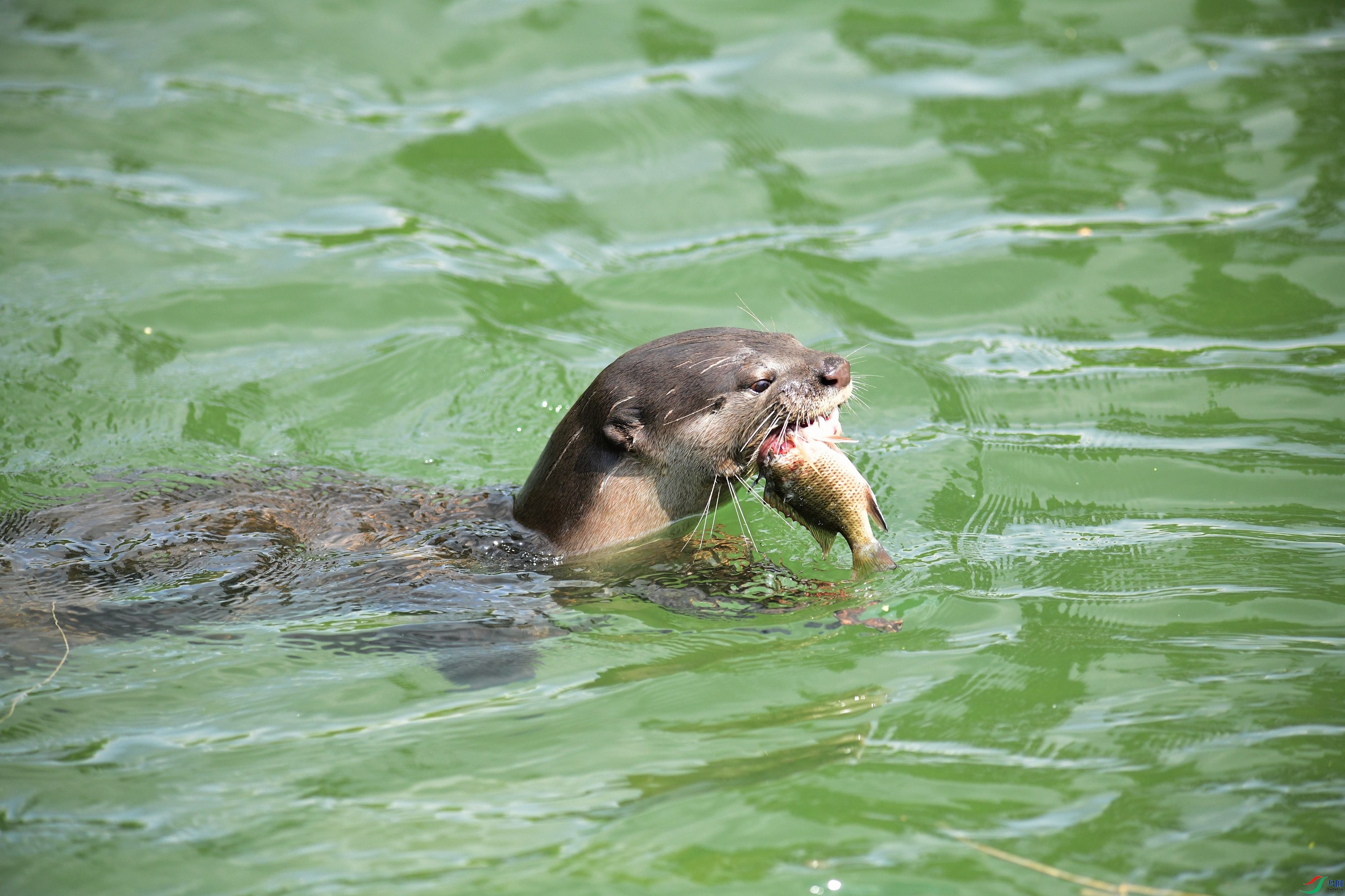 DSC_4040.JPG