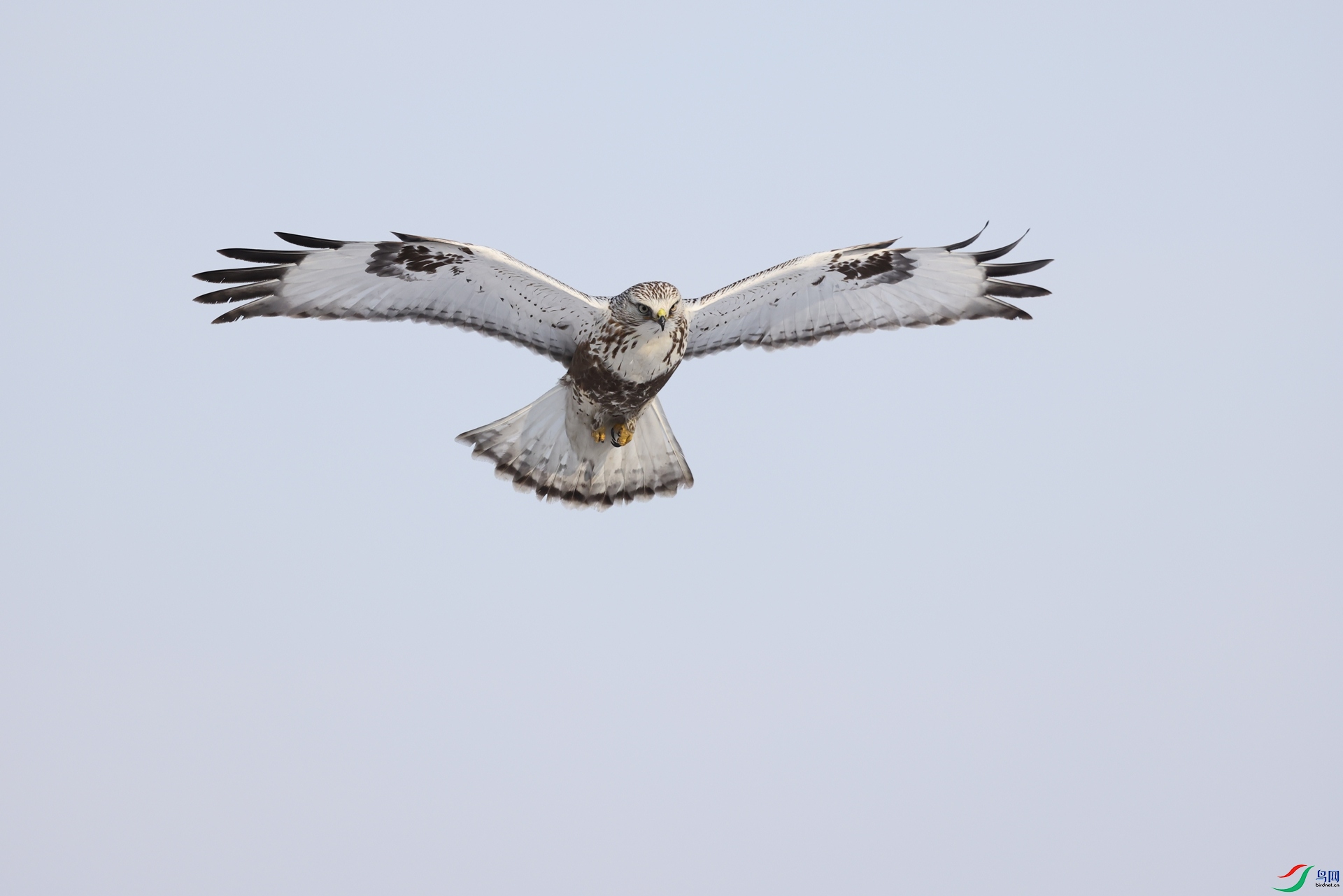 3Q6A6273.JPG