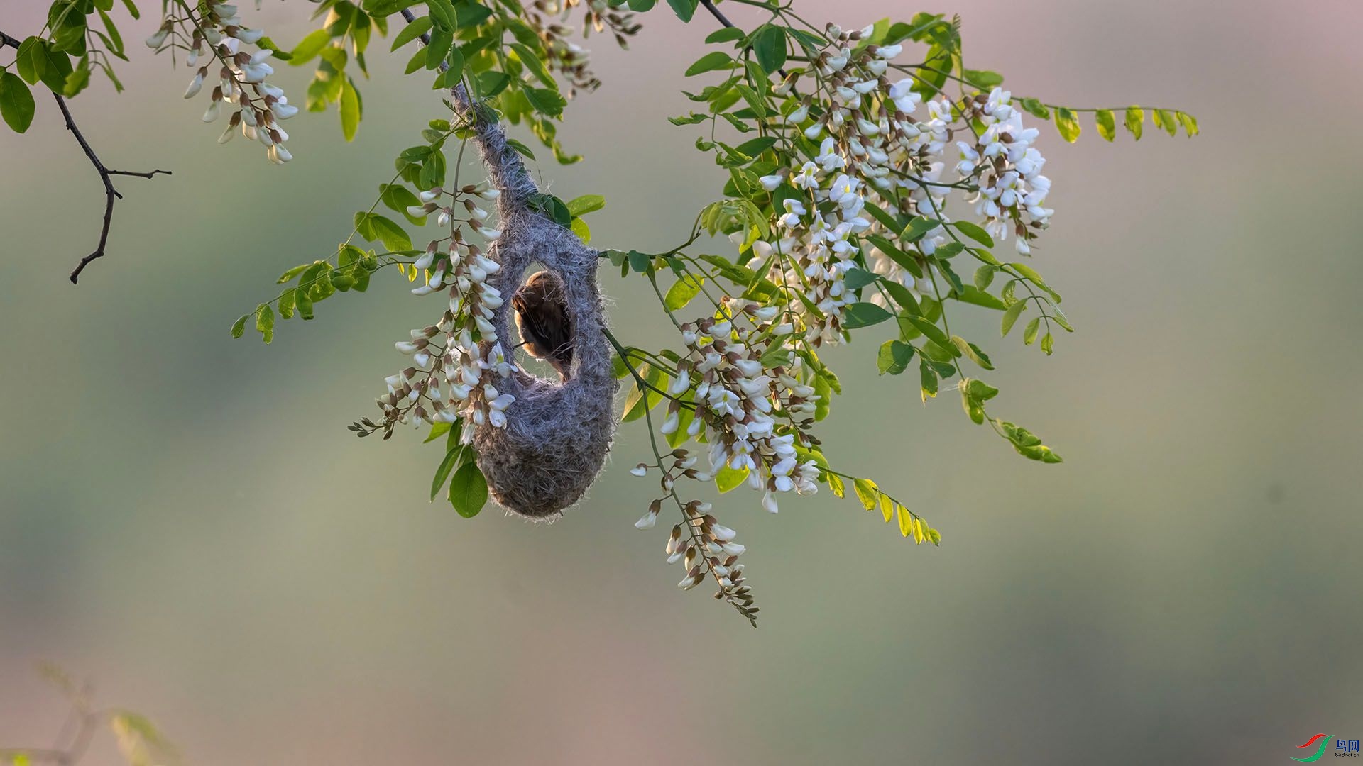 _DSC0427 ����.jpg