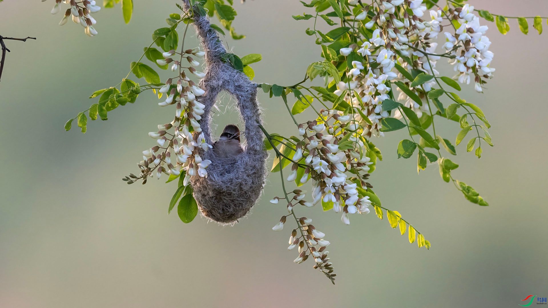 _DSC0457 ����.jpg