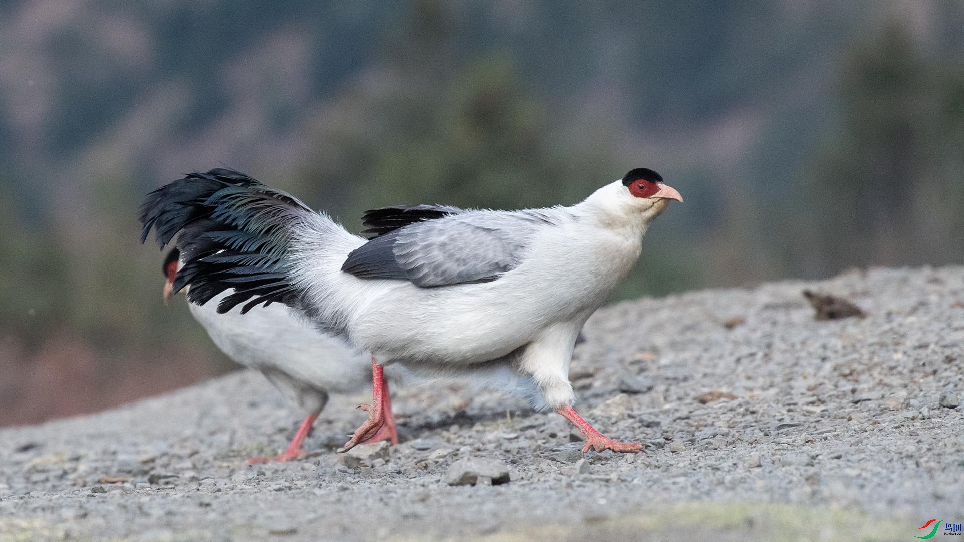 WGB_1173 ����.jpg