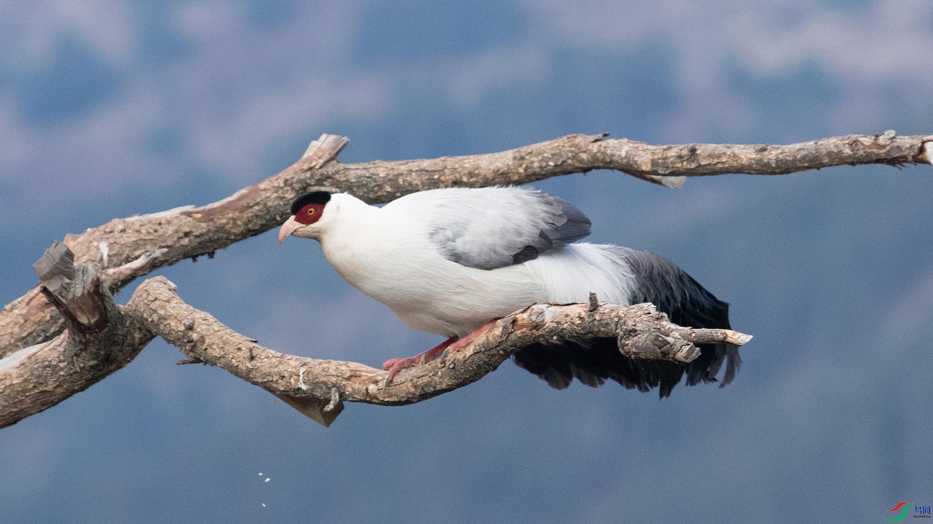 WGB_1125 ����.jpg