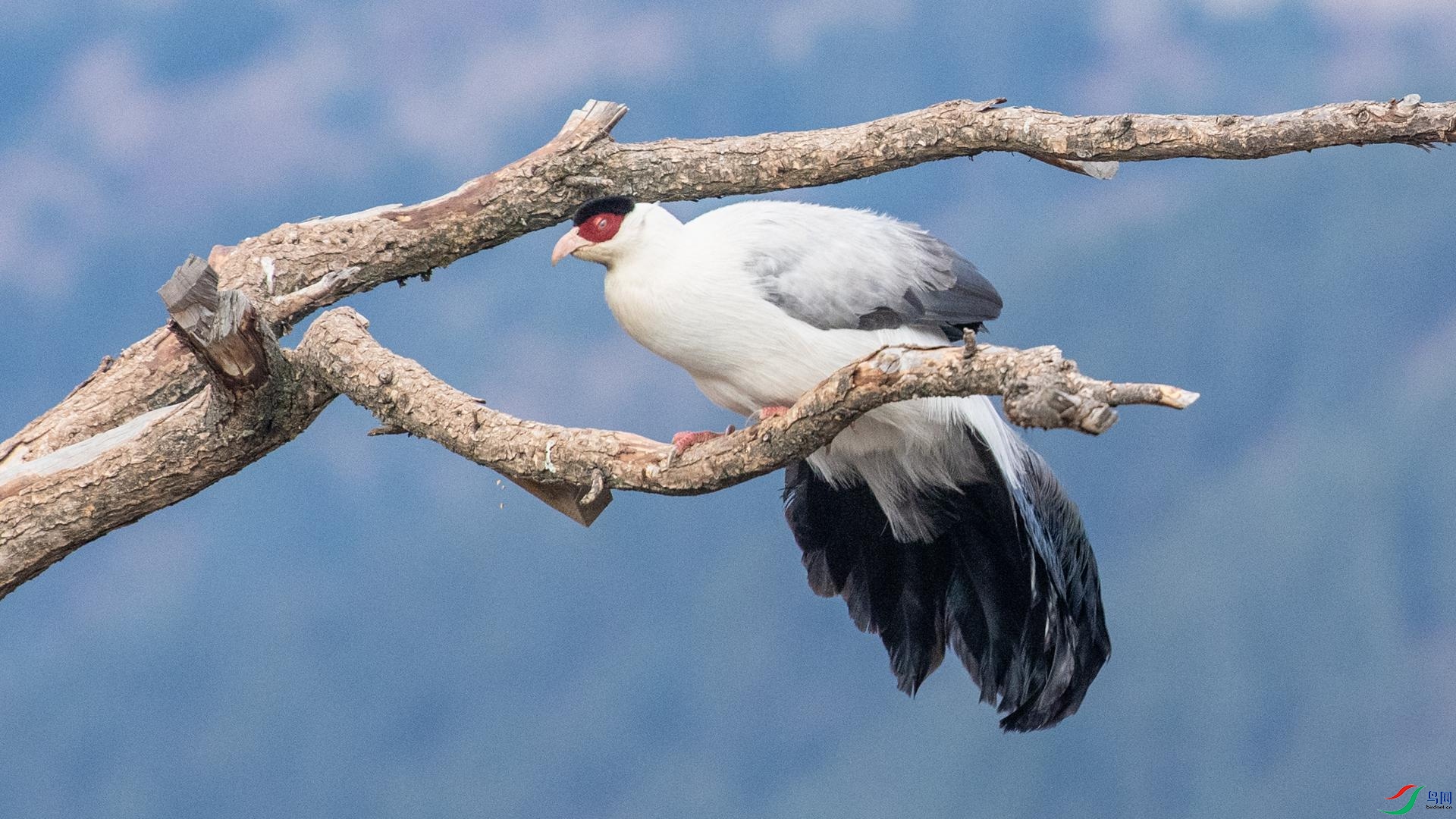 WGB_1124 ����.jpg