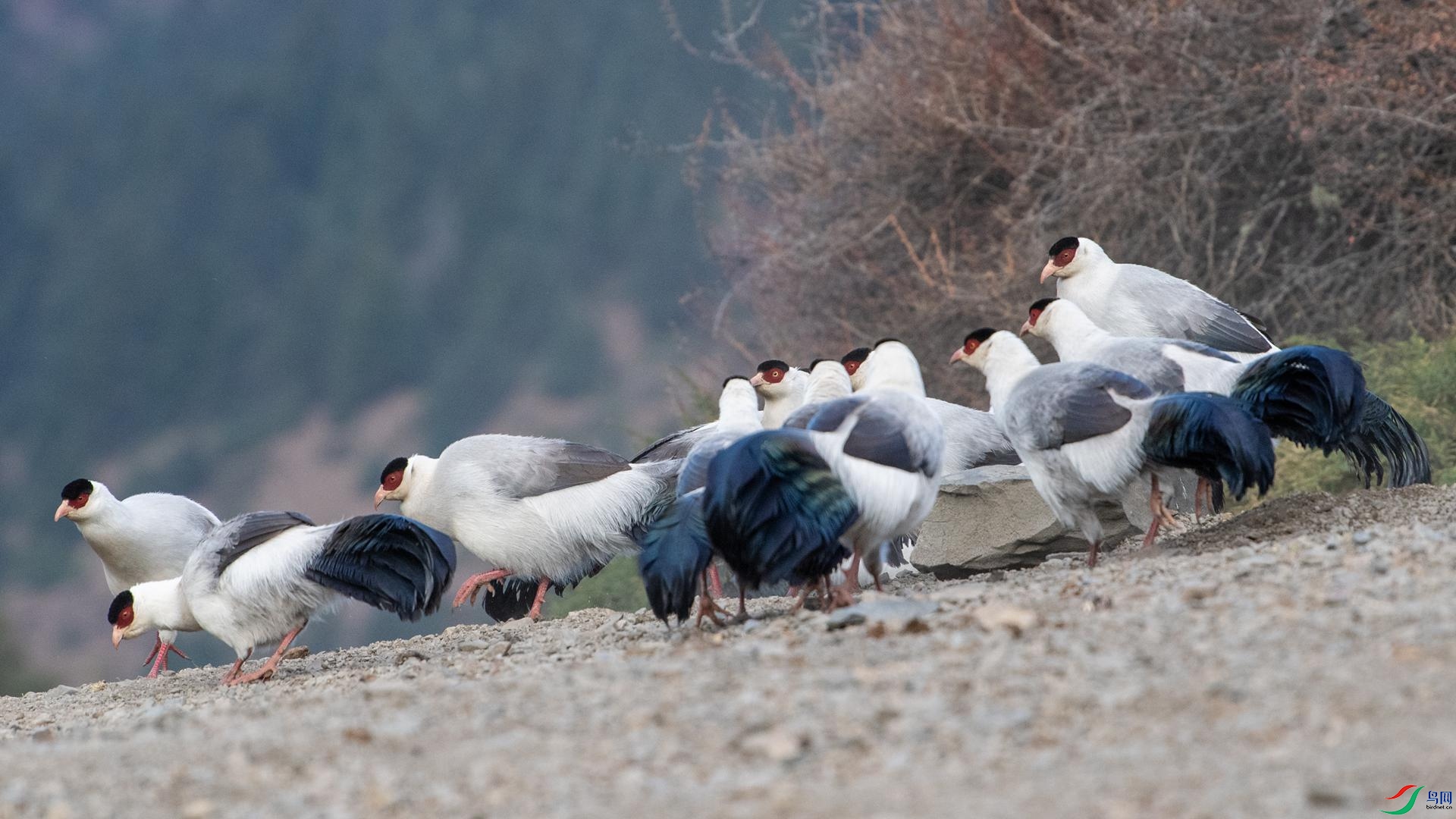 WGB_1115 ����.jpg