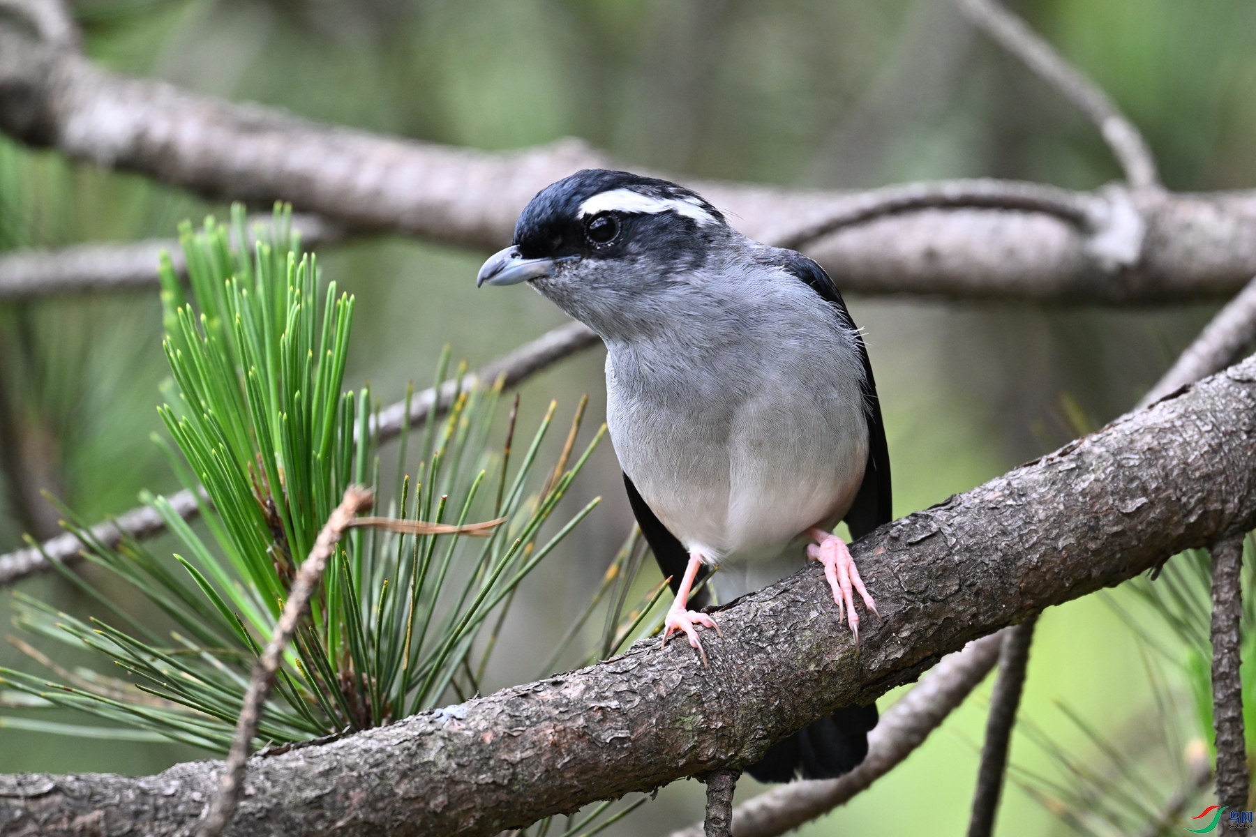 DSC_1153.JPG