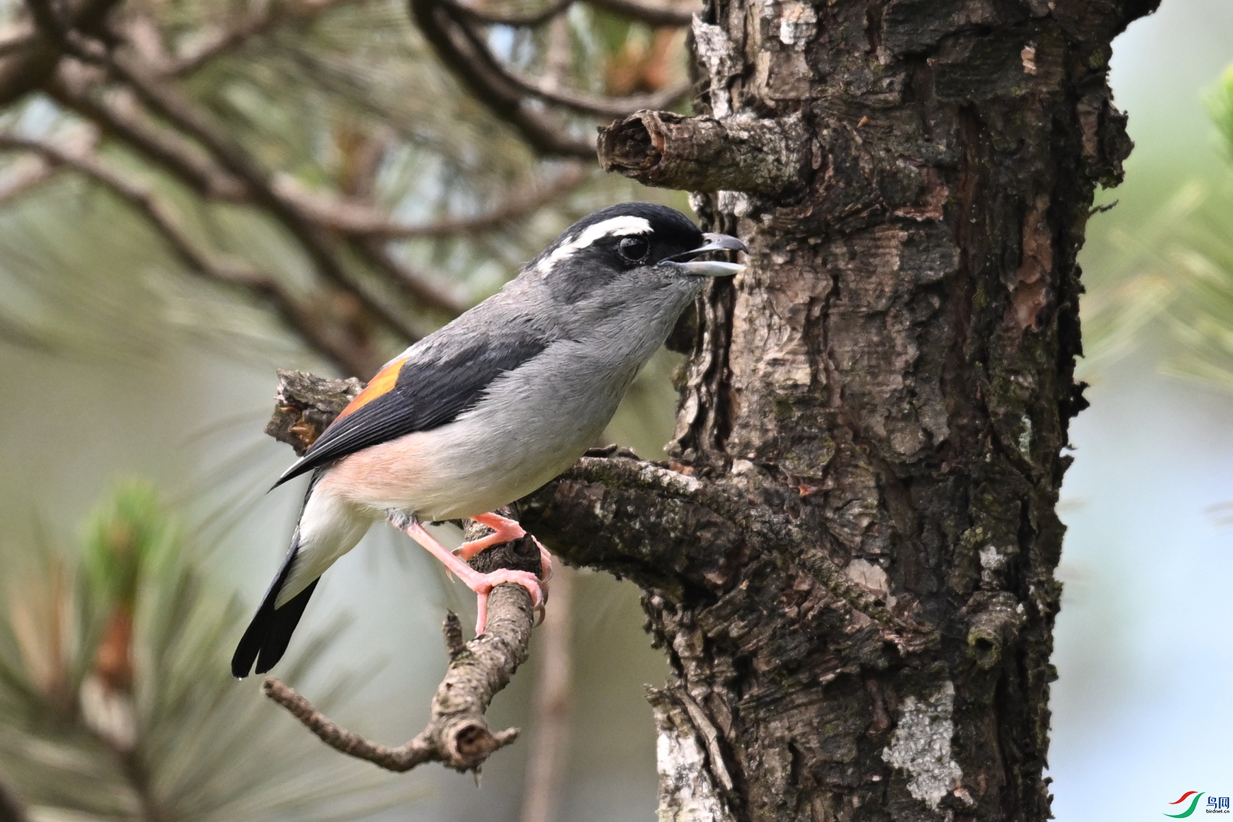DSC_1201.JPG