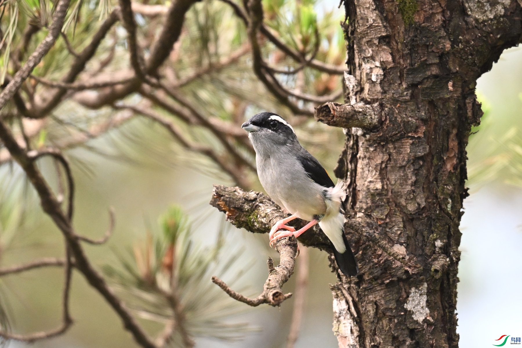 DSC_1186.JPG