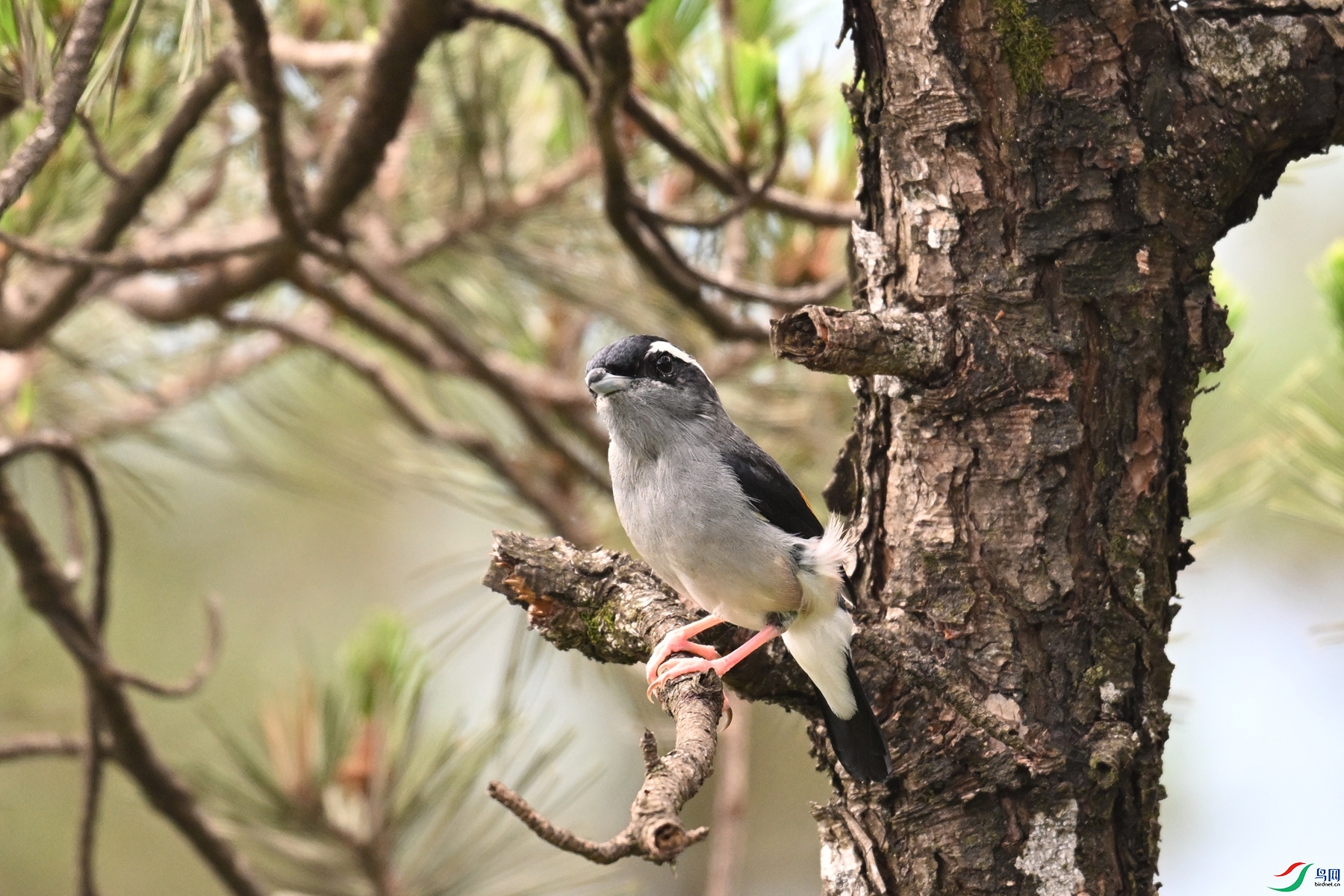 DSC_1189.JPG