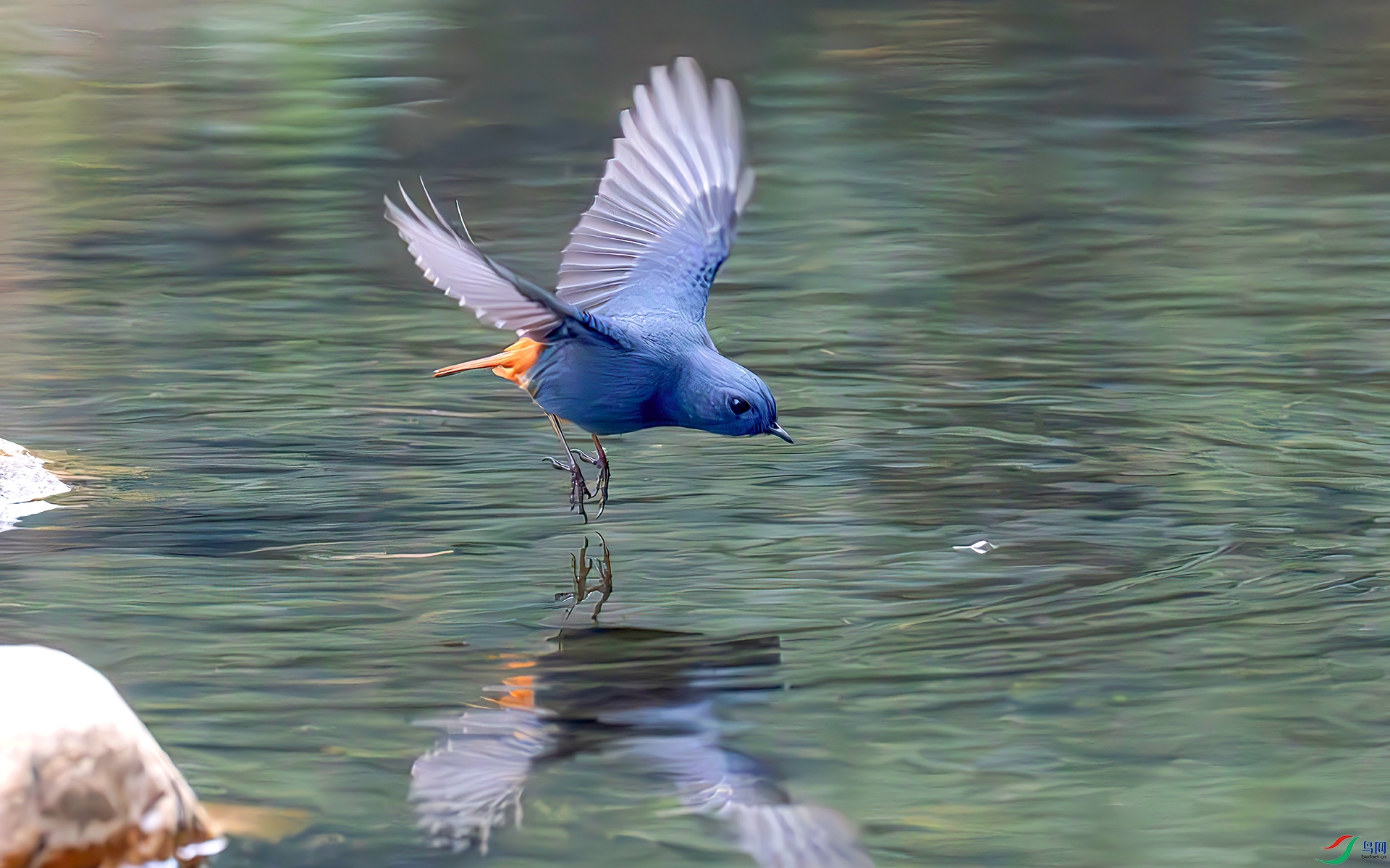 407A1714------33  .jpg