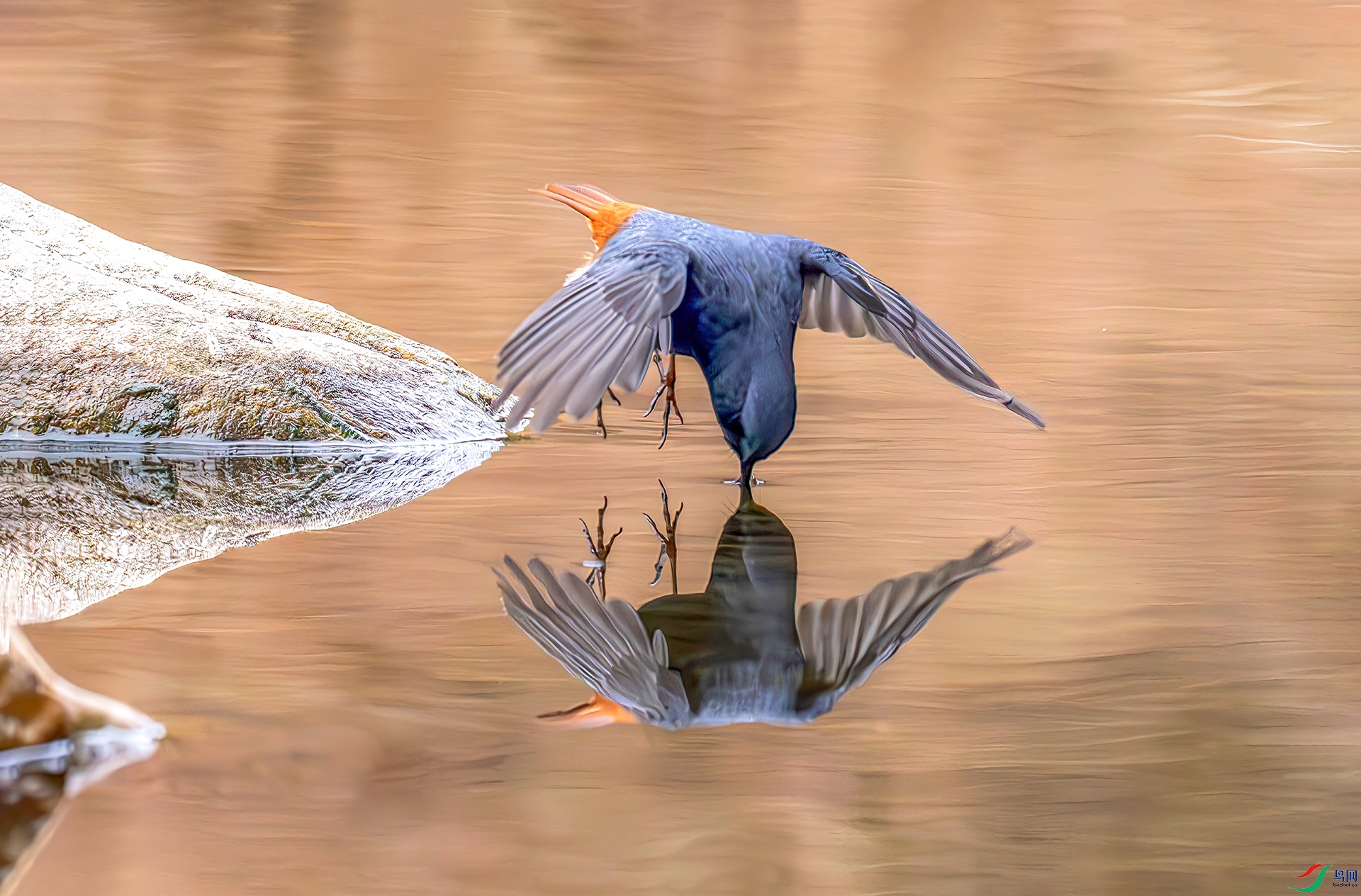 407A9502------33  .jpg